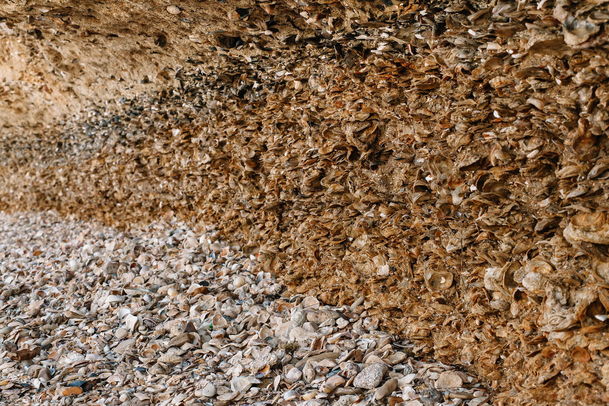 Керчь. Семейный и свадебный фотограф в Майкопе Михаил Мартиросян