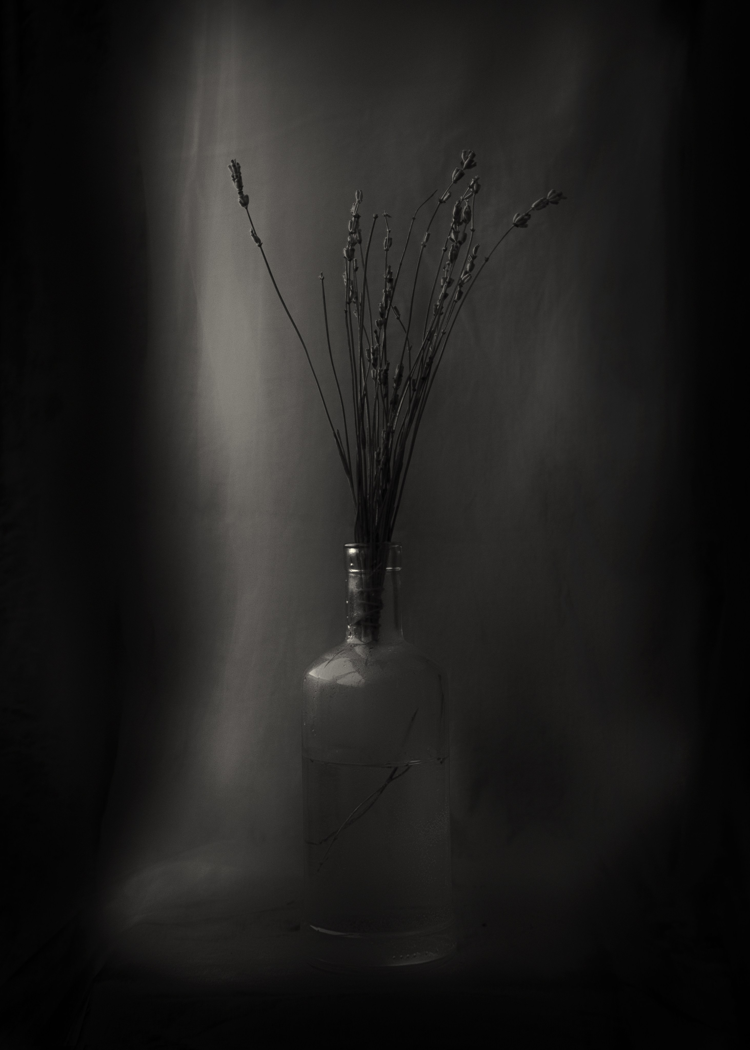 Избранное. Фотограф в Москве, в Самаре Инна Мамонова