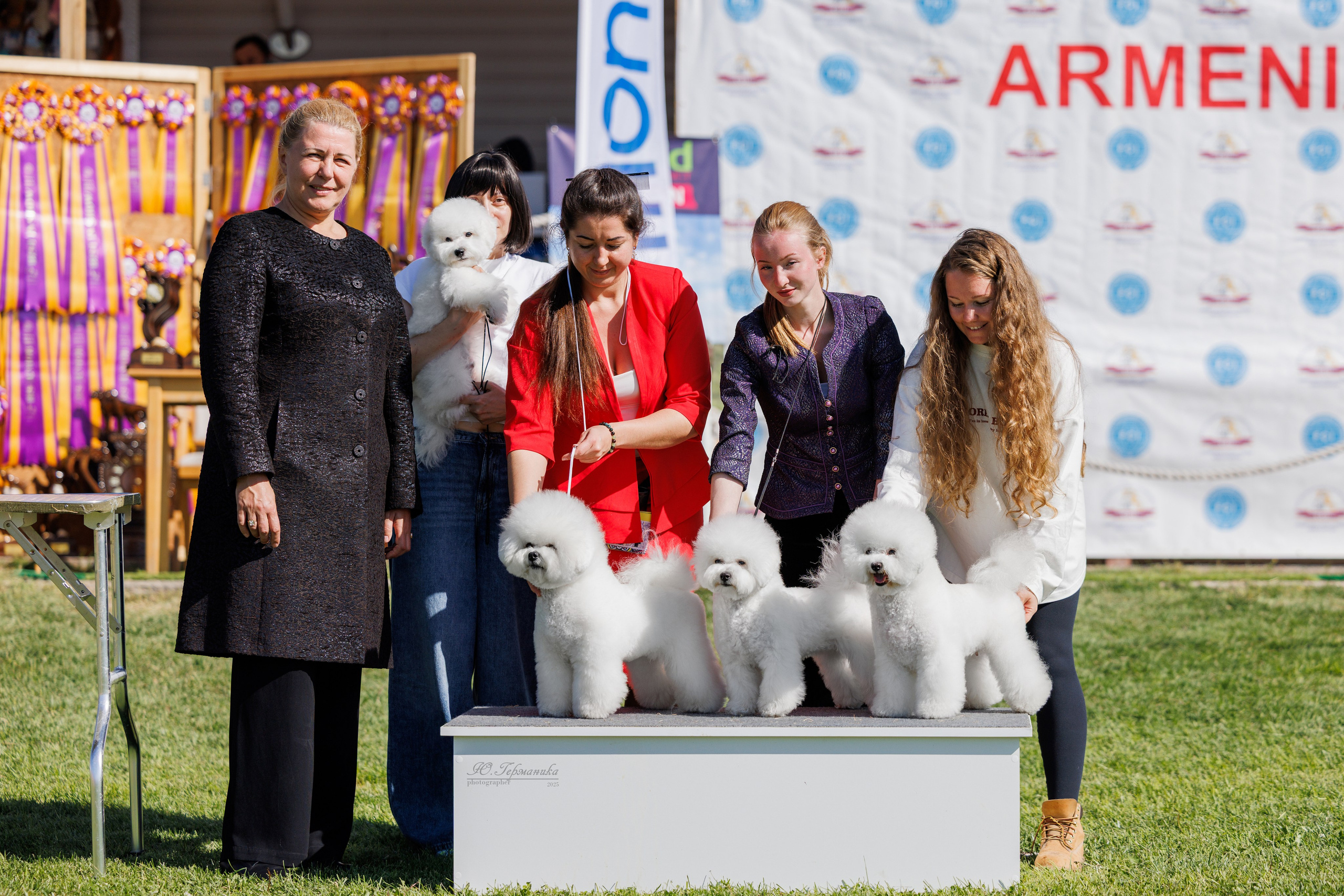Ереван 14-16.10.2025. Фотограф-анималист Юлия Германика