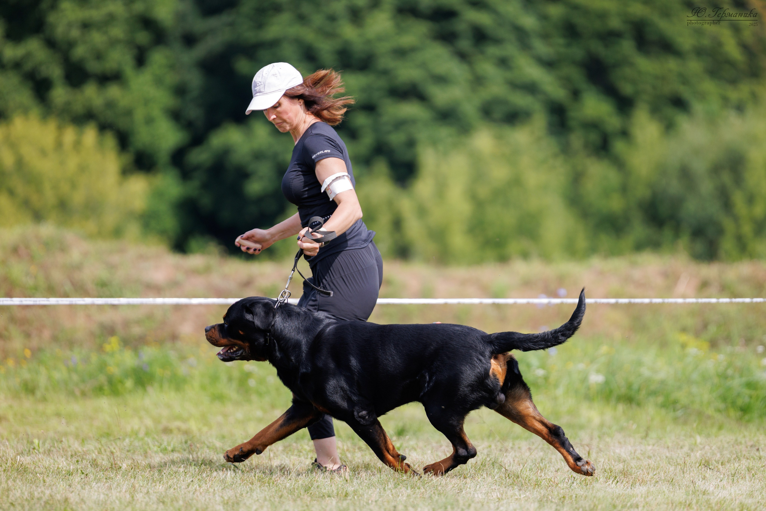 Рязань 2хмоно ротвейлеры 16-17.08.2025. Фотограф-анималист Юлия Германика