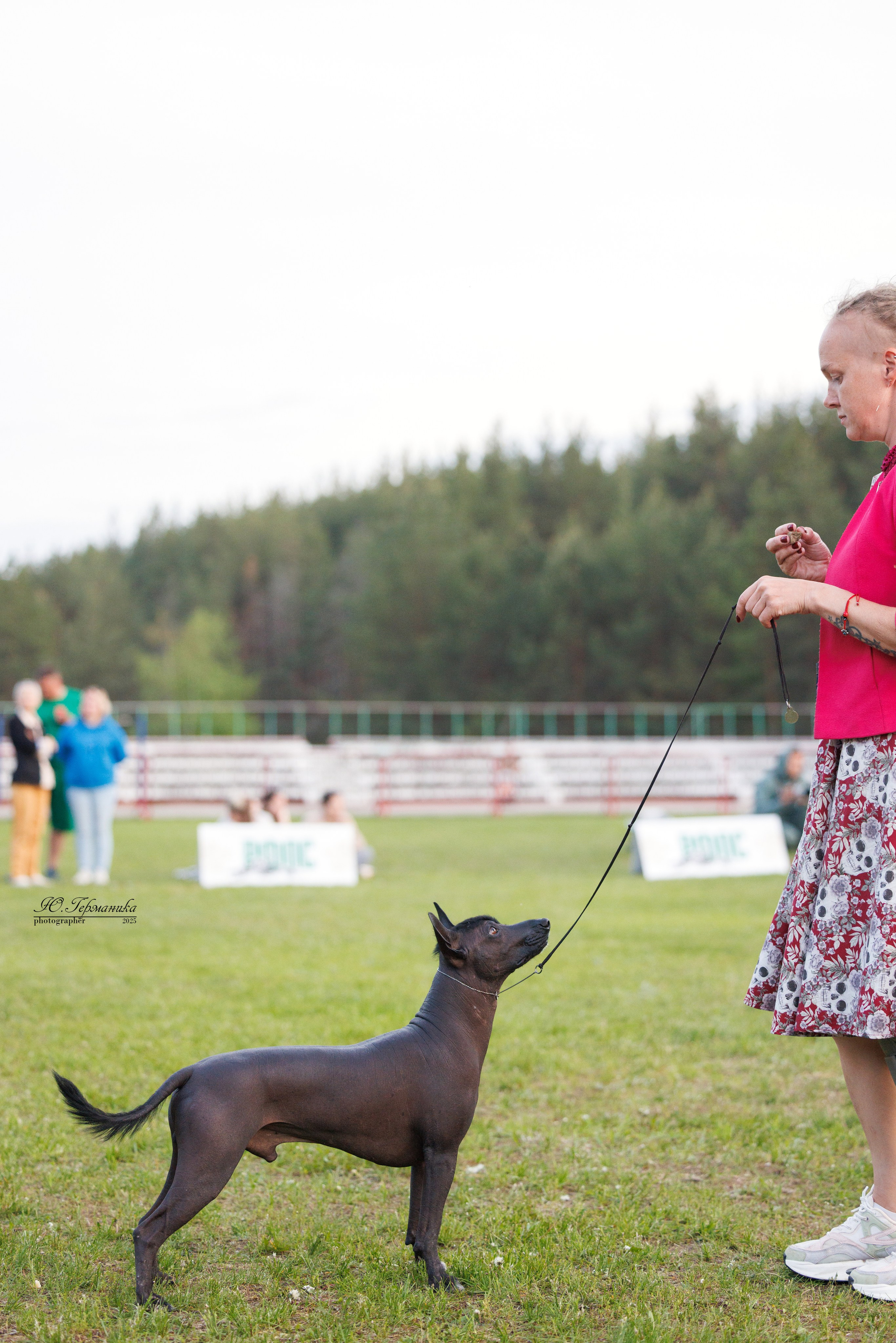 Суздаль(Владимир)17-18.05.2025. Фотограф-анималист Юлия Германика