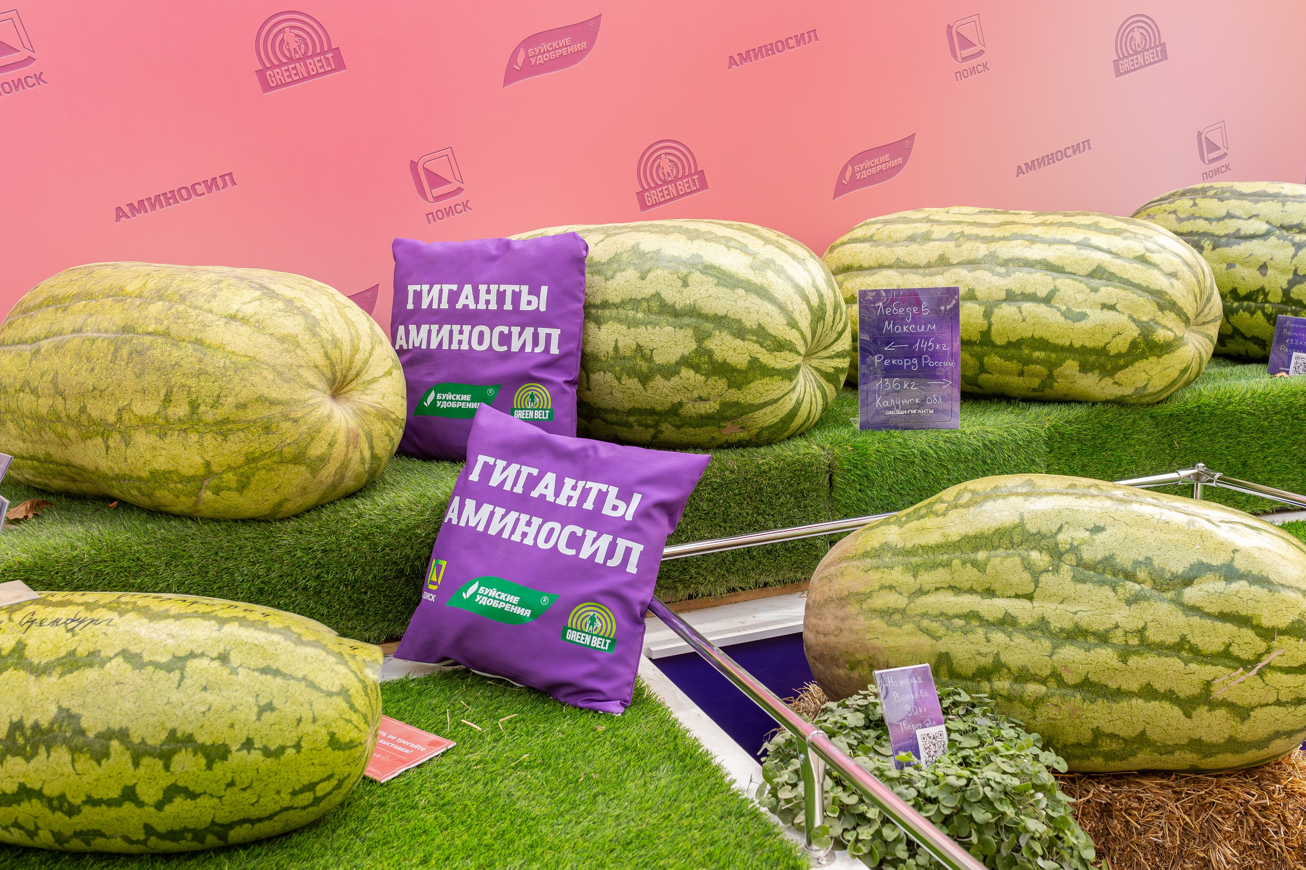 Овощи-гиганты. Александра Куликова фотограф, Москва