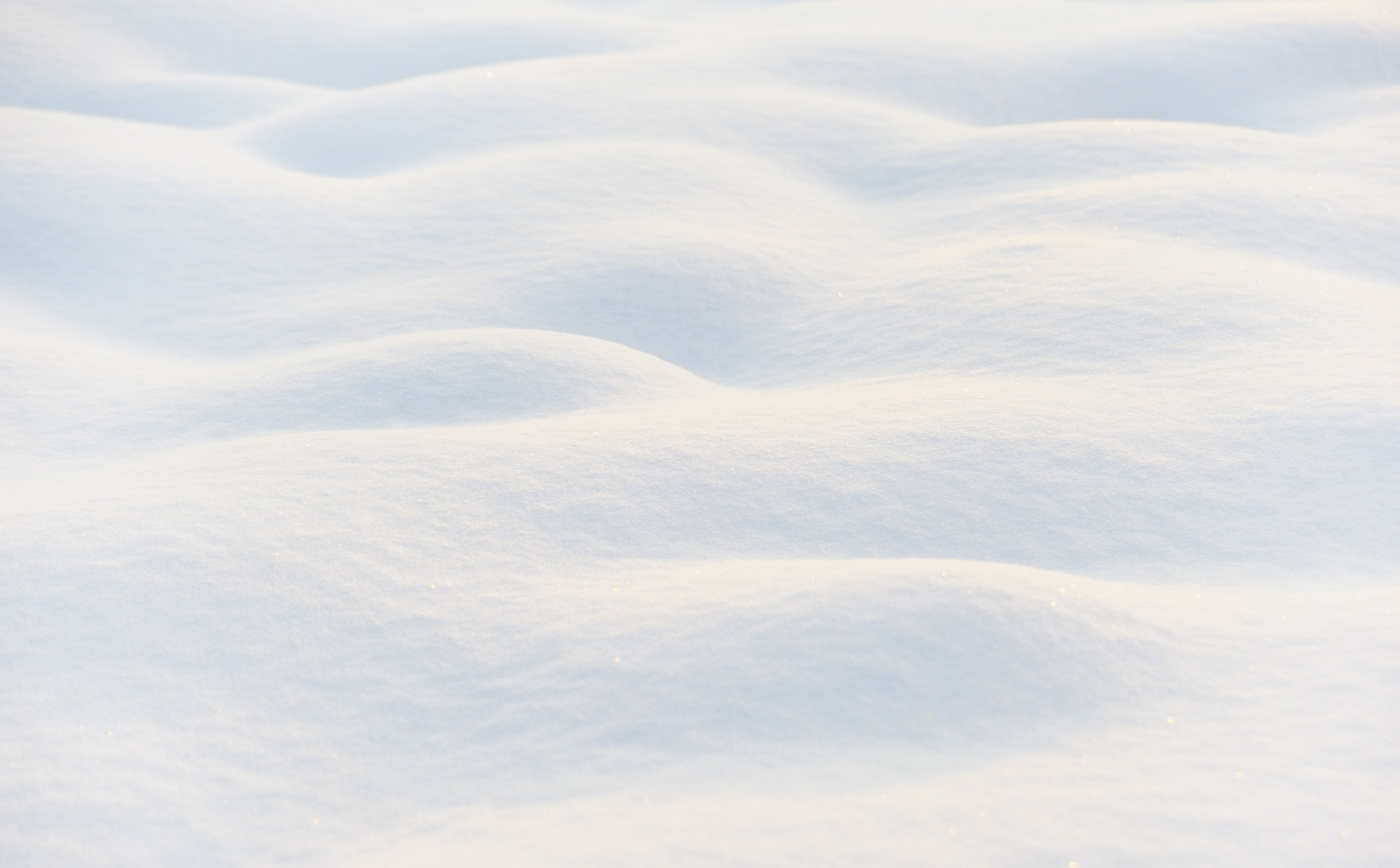 Форма снега. Катерина Михеева