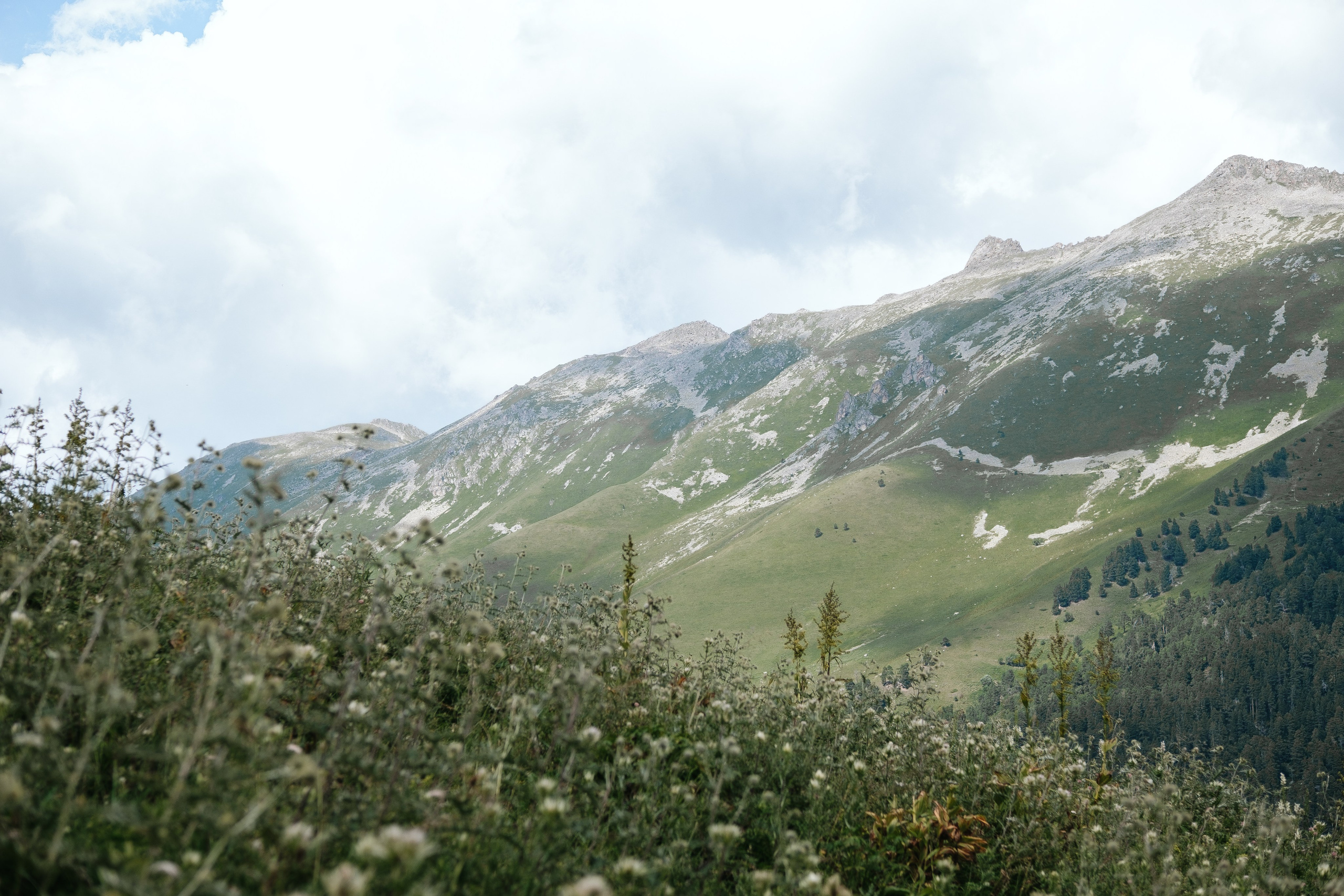 Свадьба в горах. Свадьба в Абхазии|Фотограф в Абхазии