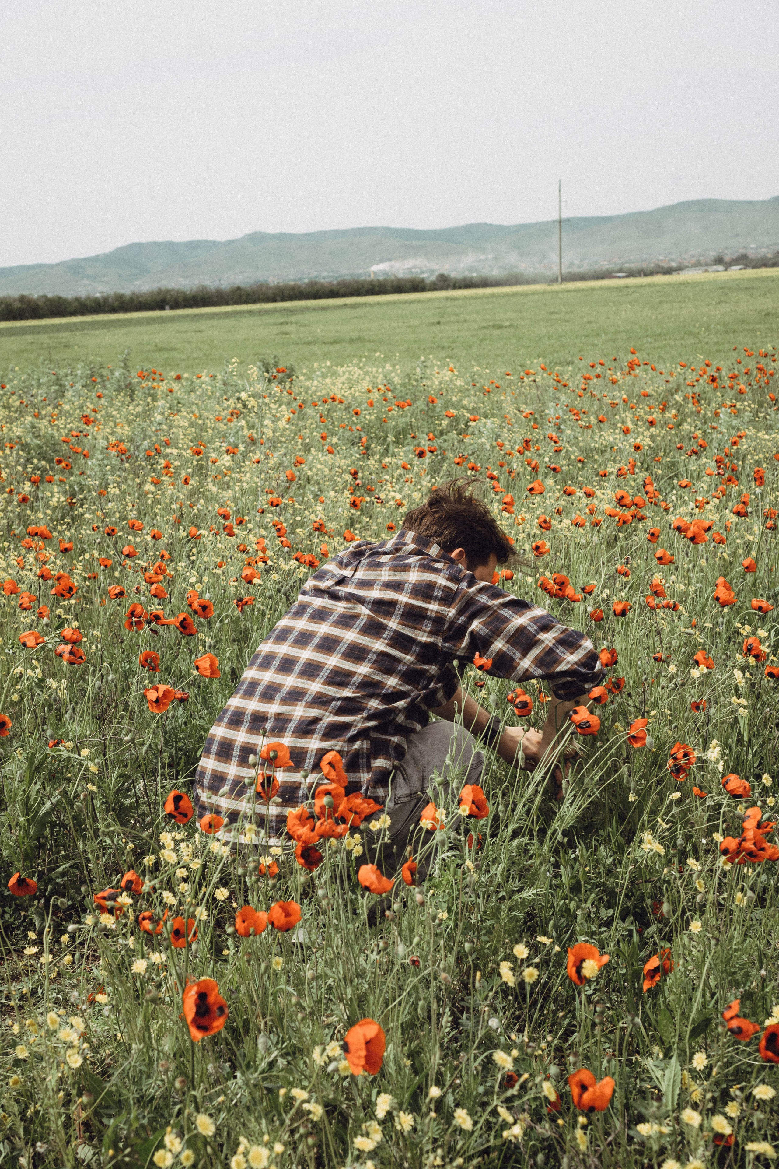 Маки. Профессиональный фотограф, Санкт-Петербург — Виктория Богомолова