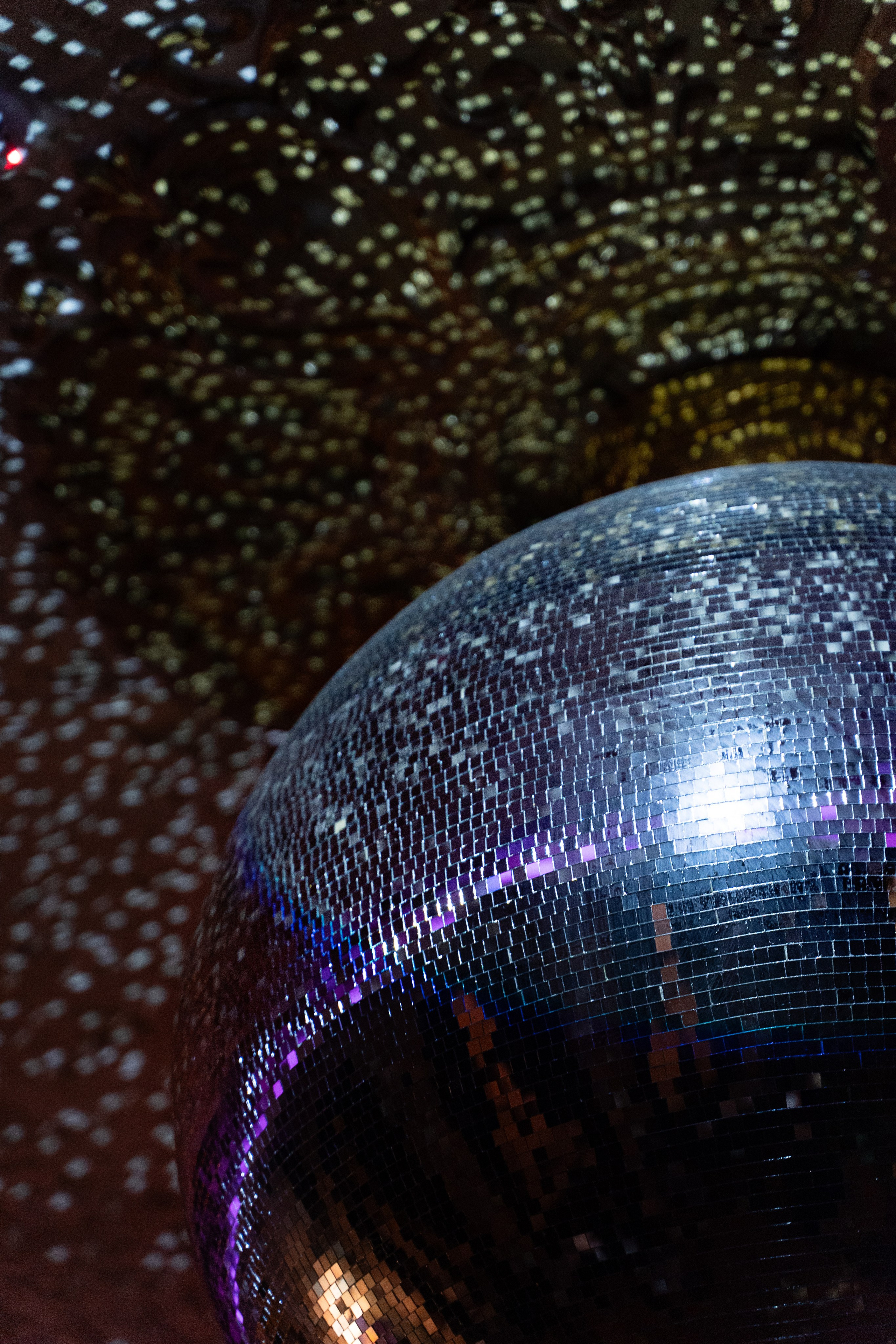 Интерьерная. Kamelia Candy фотограф Самара/ Москва