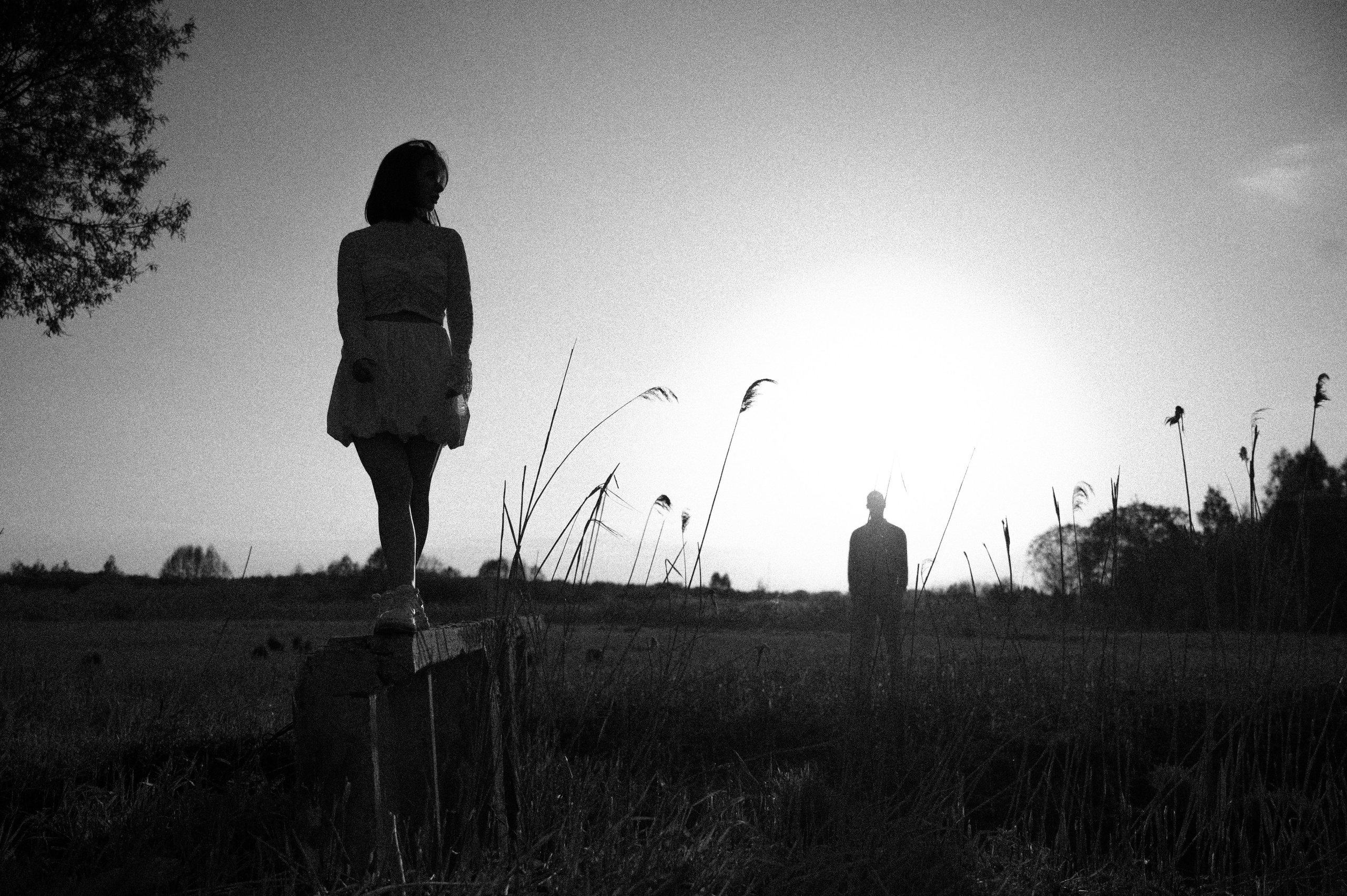 Viktor&Dariya. Свадебный фотограф МОСКВА, КРЫМ, СМОЛЕНСК АЛЯ КОНОВАЛОВА