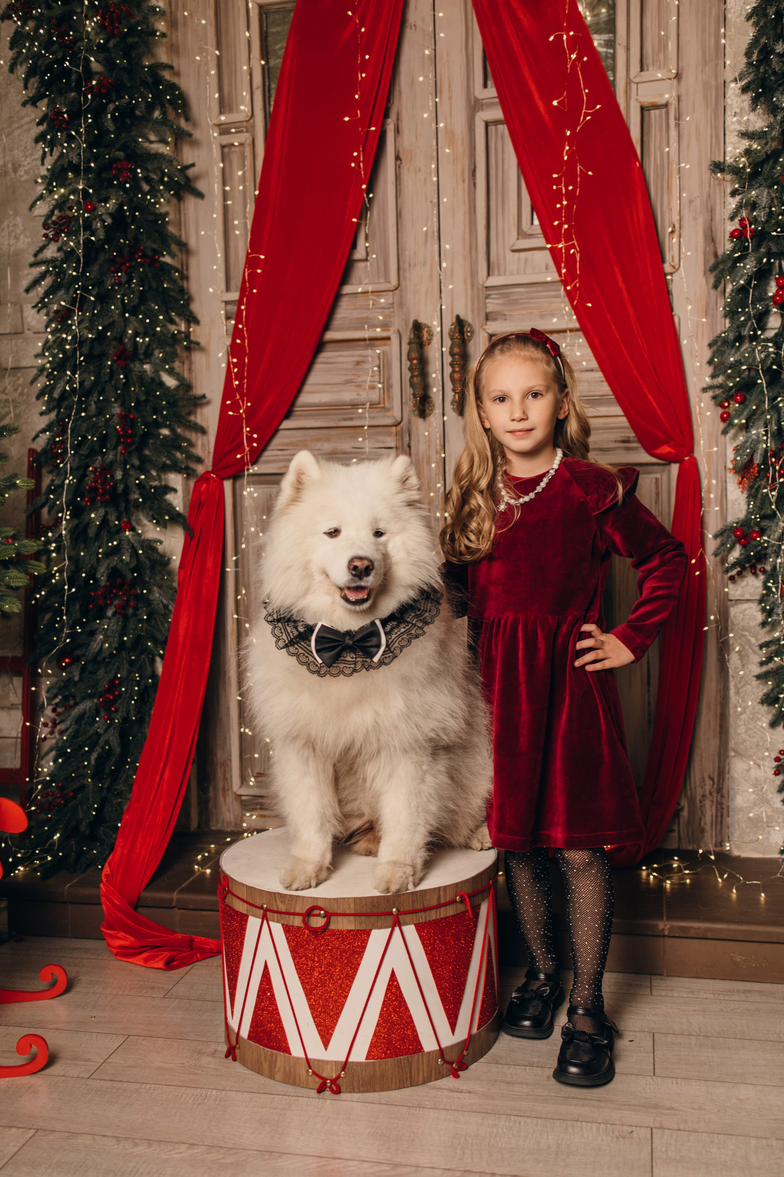 Новогодний самоед. Коновалова Ольга | фотограф в Пензе и Заречном