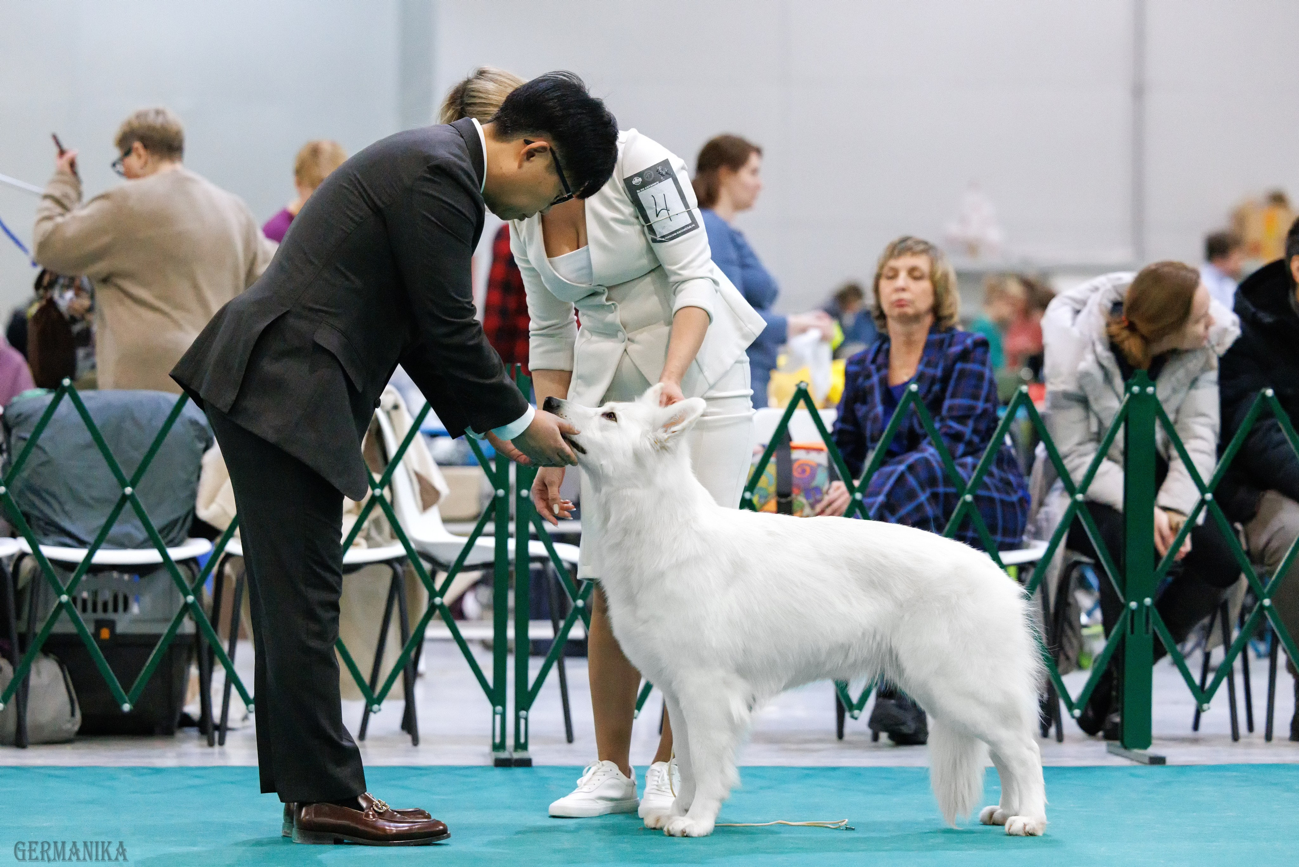 Крокус 10.02,Сфера 11.02.2024. Фотограф-анималист Юлия Германика