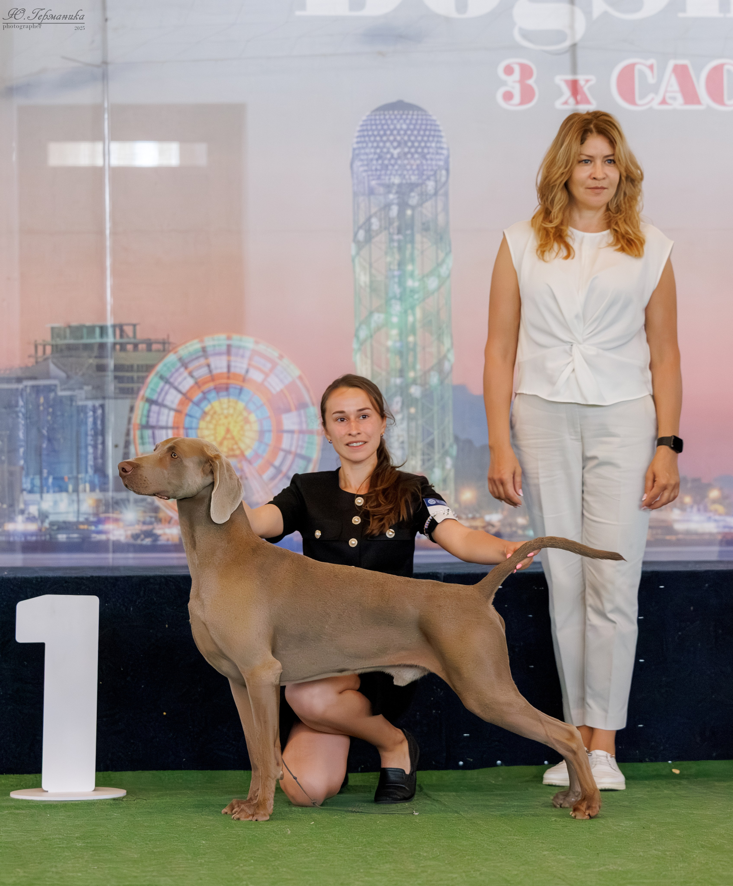 Батуми 3хCACIB 27-29.06.2025. Фотограф-анималист Юлия Германика
