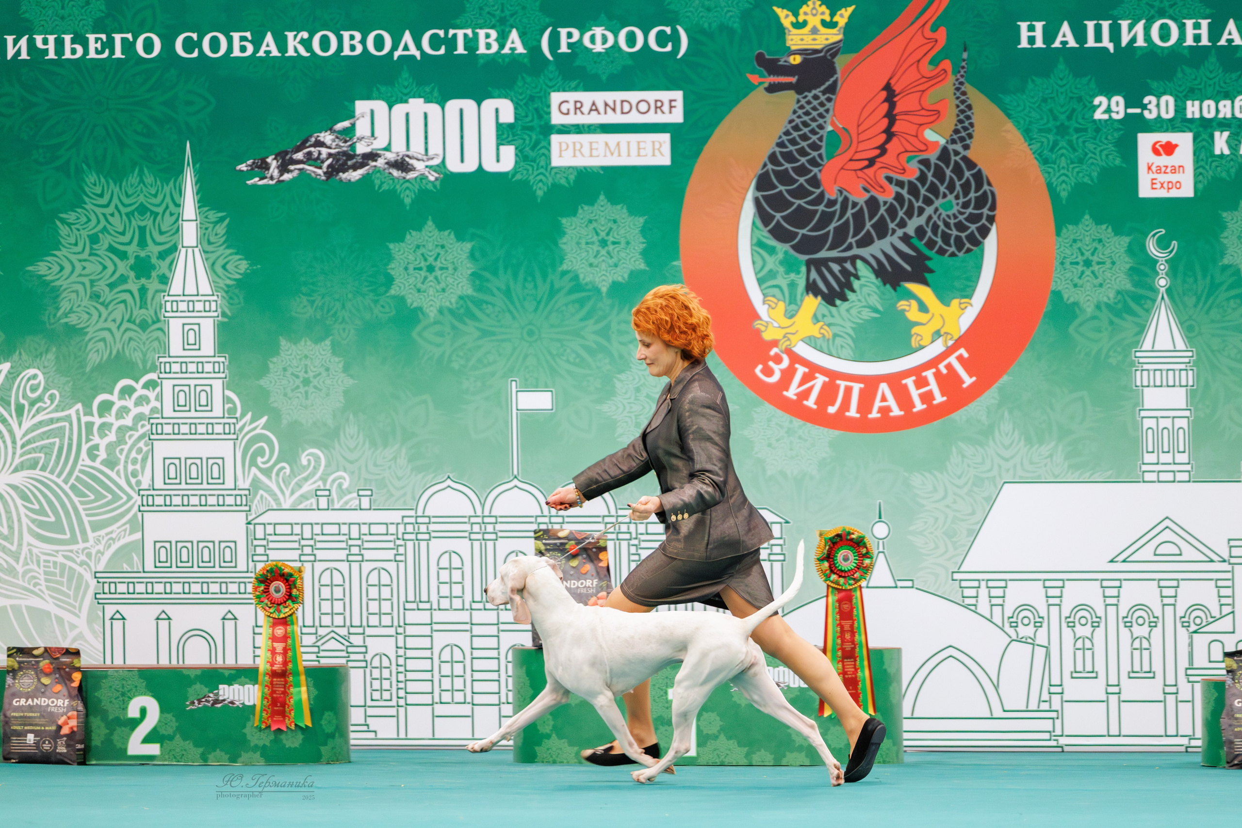 Зилант Казань 29-30.11.2025. Фотограф-анималист Юлия Германика