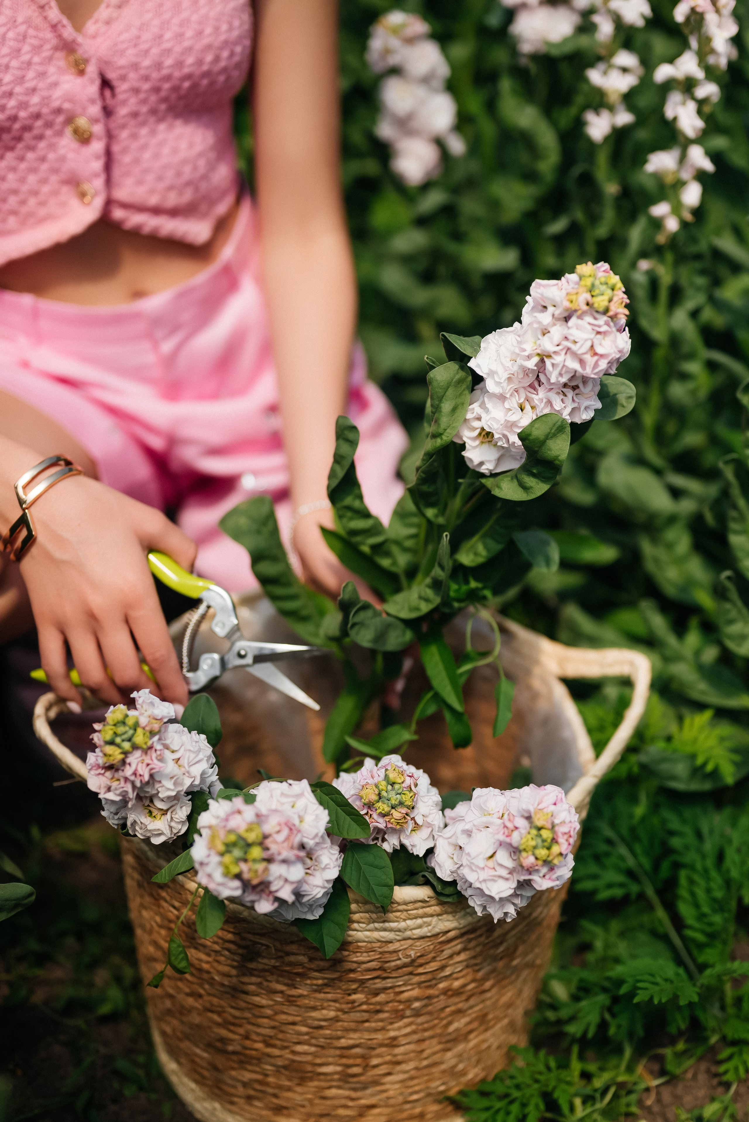 Лиза. Фотограф в Краснодарском крае Александр Шульга