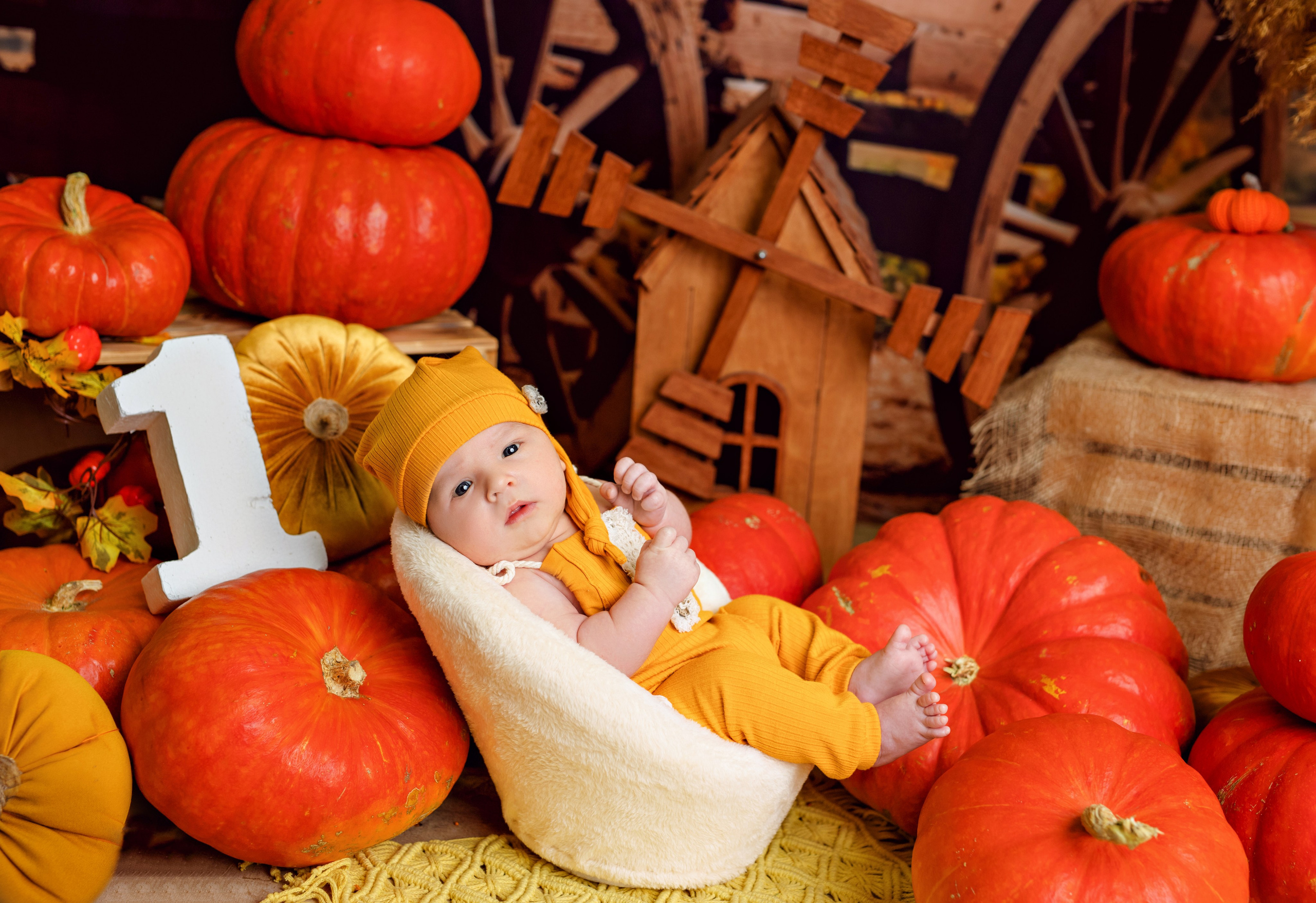 Тыквы. Фотограф Болотова Иветта