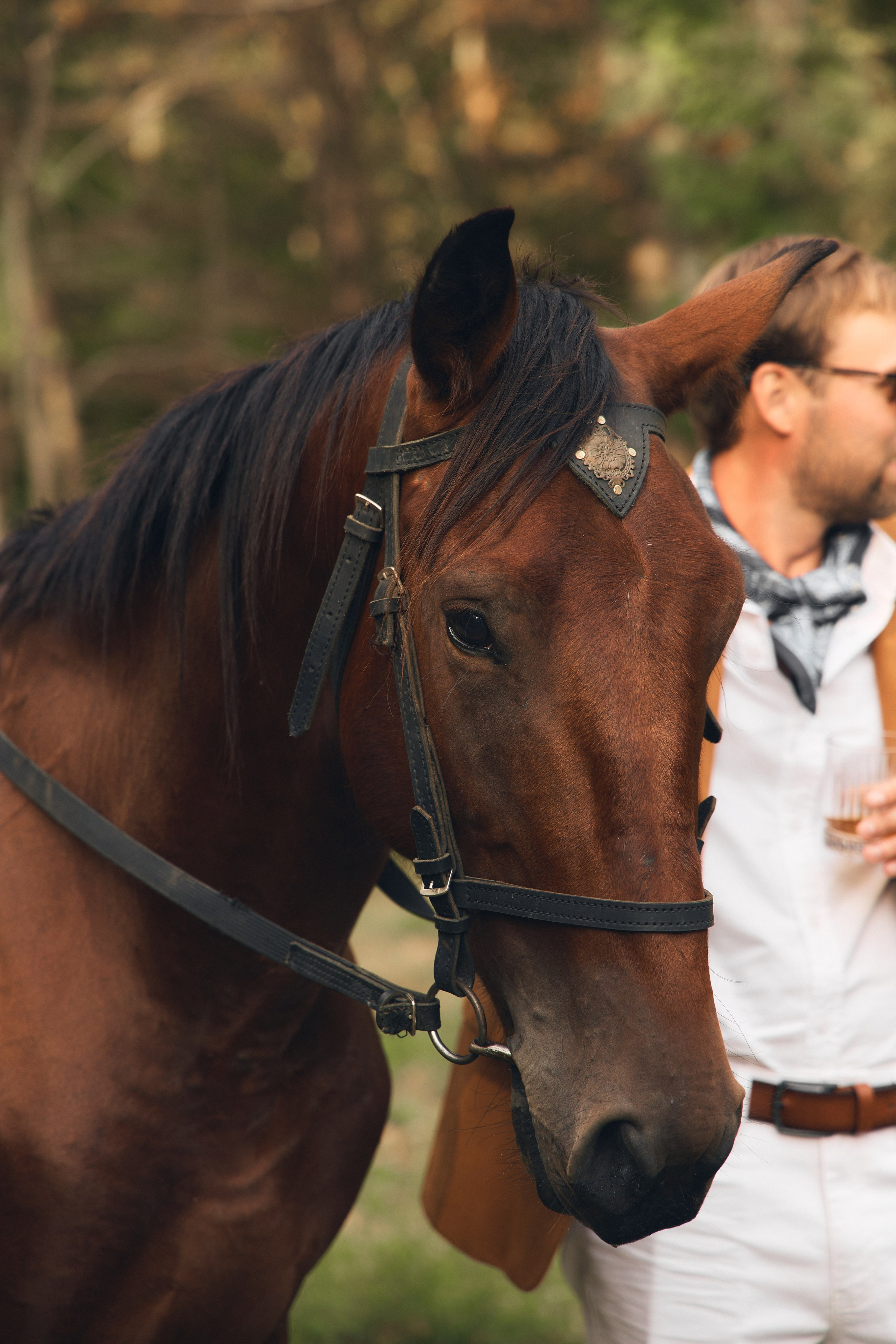 Александр и Алина. Свадебный фотограф в Майкопе