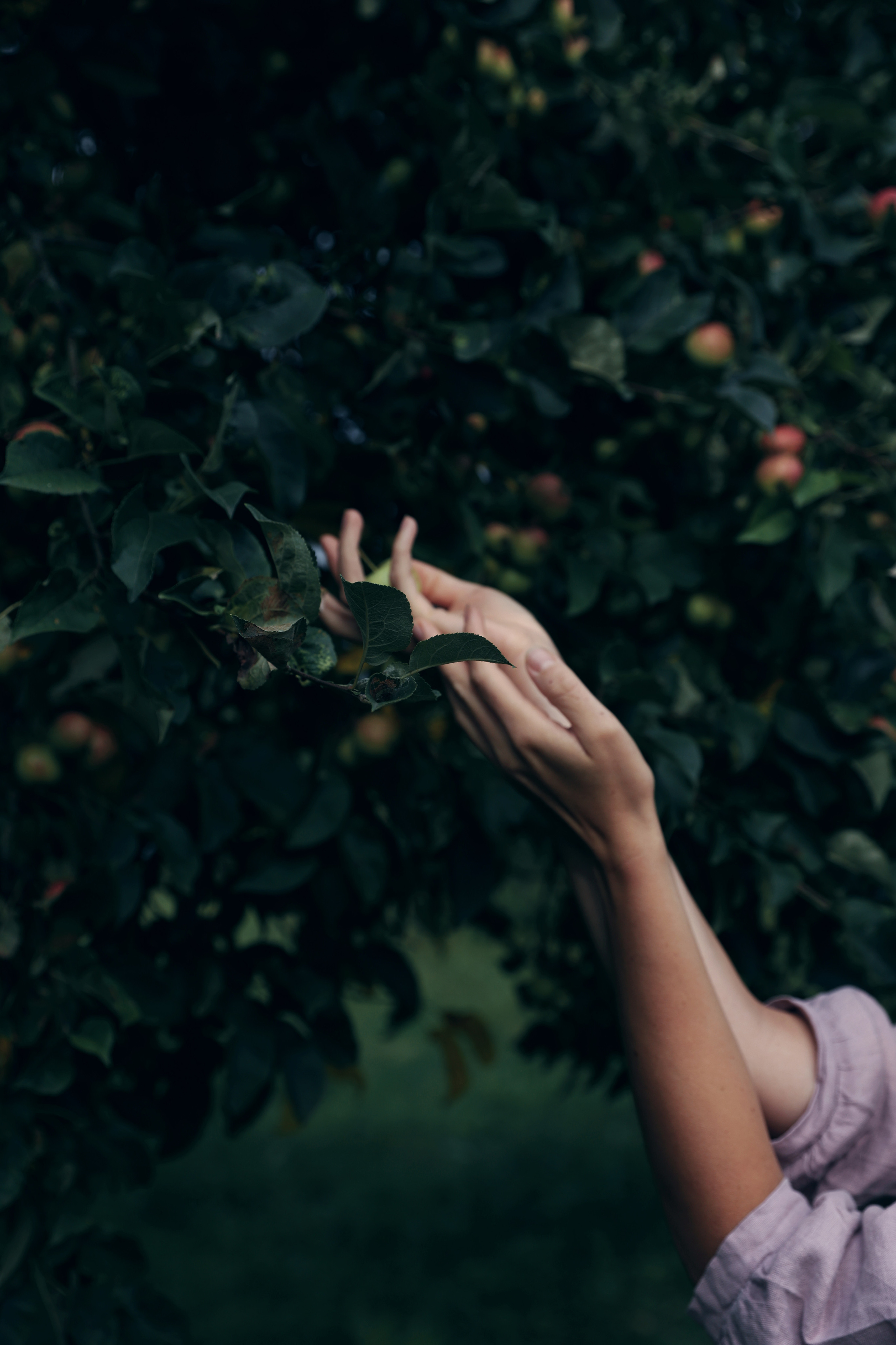 Портреты. «Книжка с картинками» Фотограф Наталья Цыбина