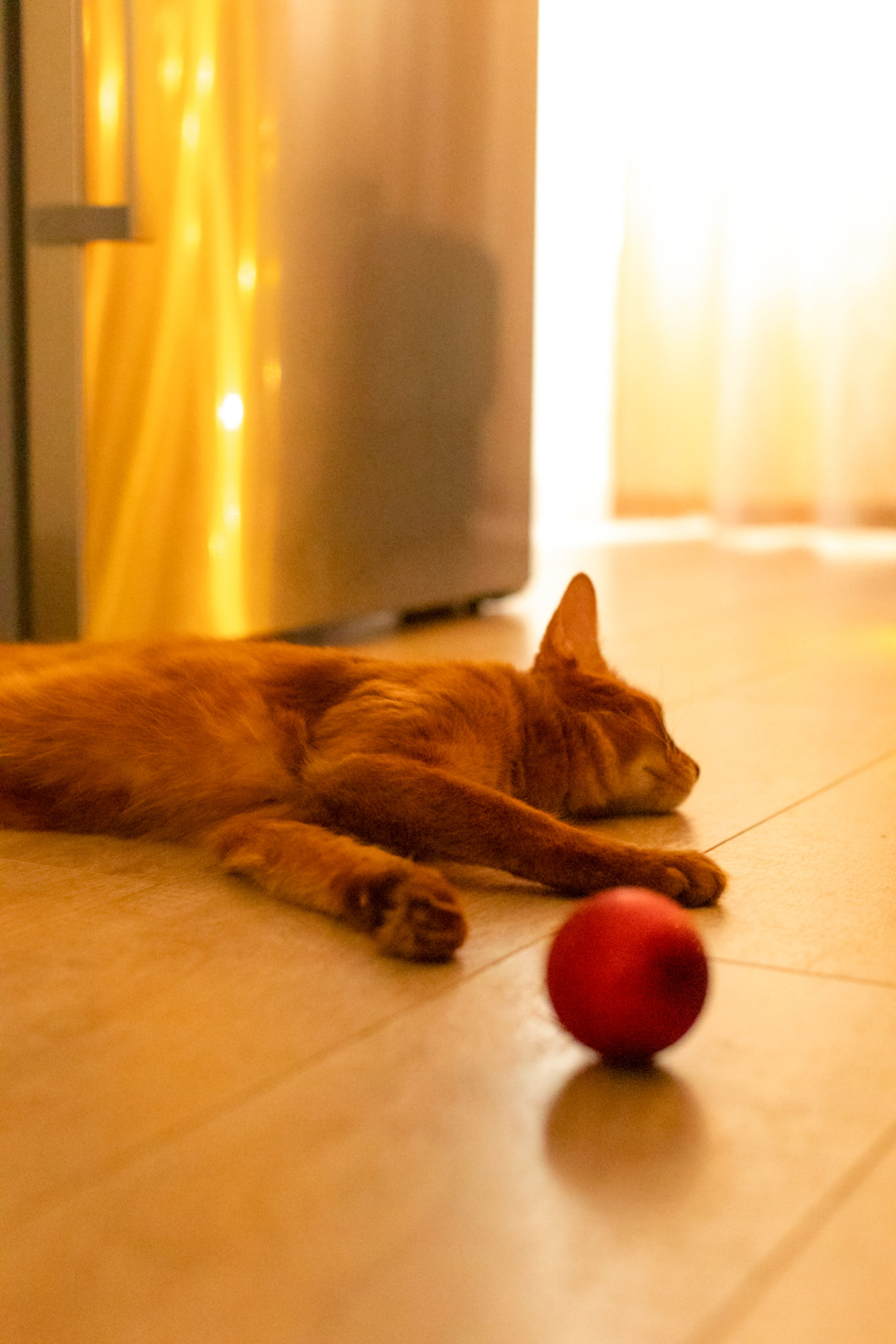 Сомали. Art my Pho