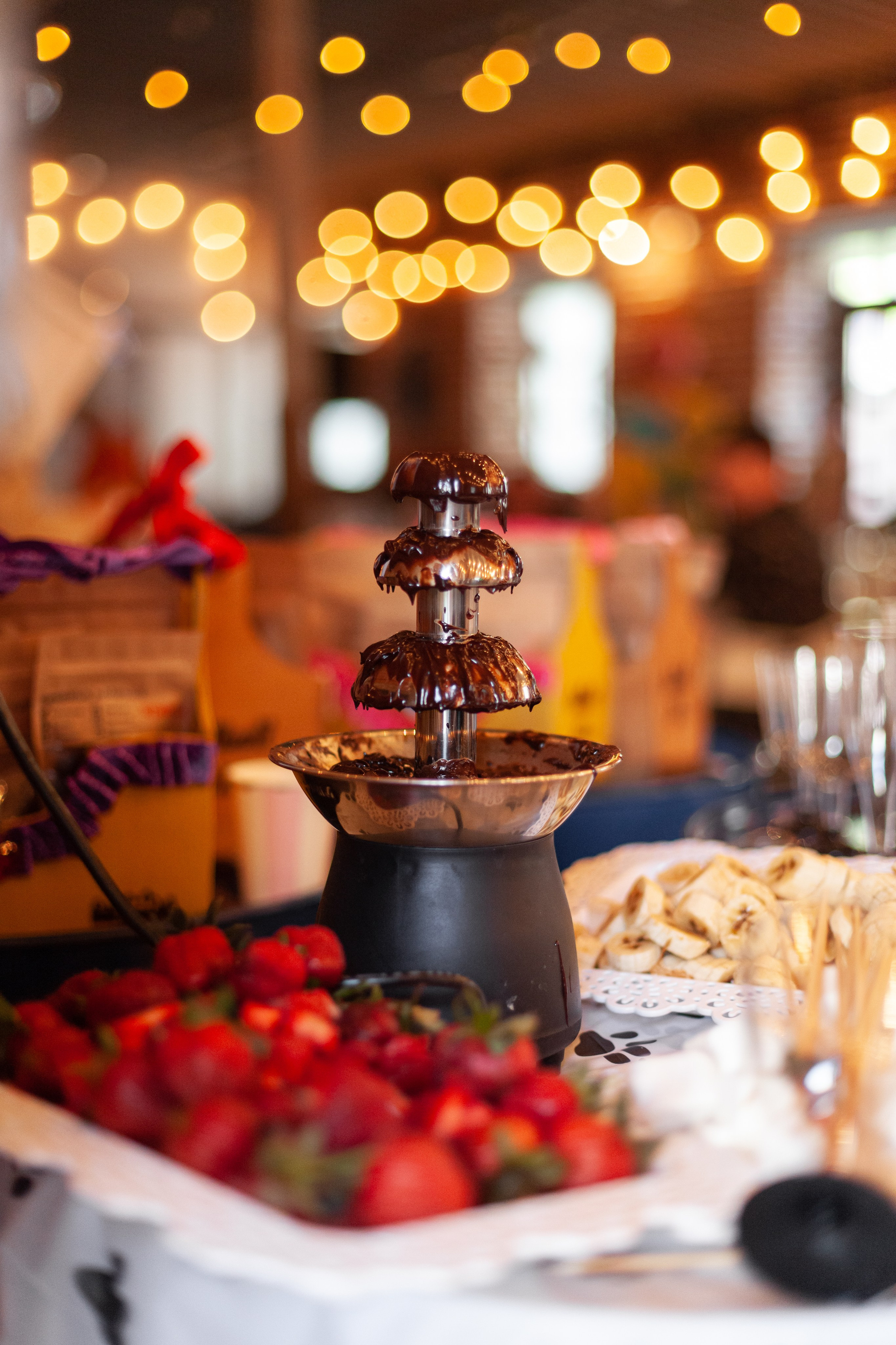 Бульбалл 23.04.2023. Фотограф-анималист Татьяна Степанова