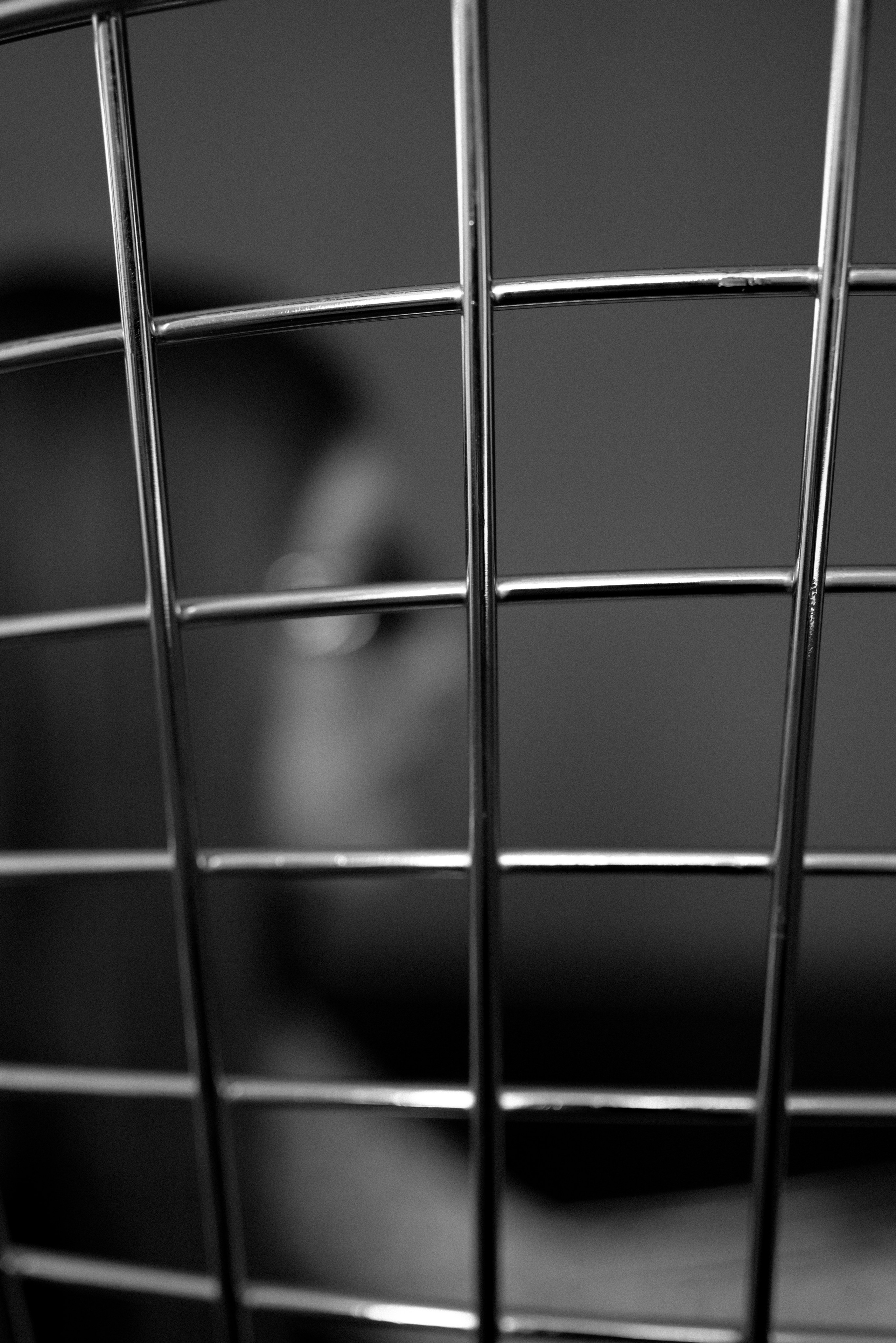 Даша. Профессиональный фотограф в Твери Иванова Юлия