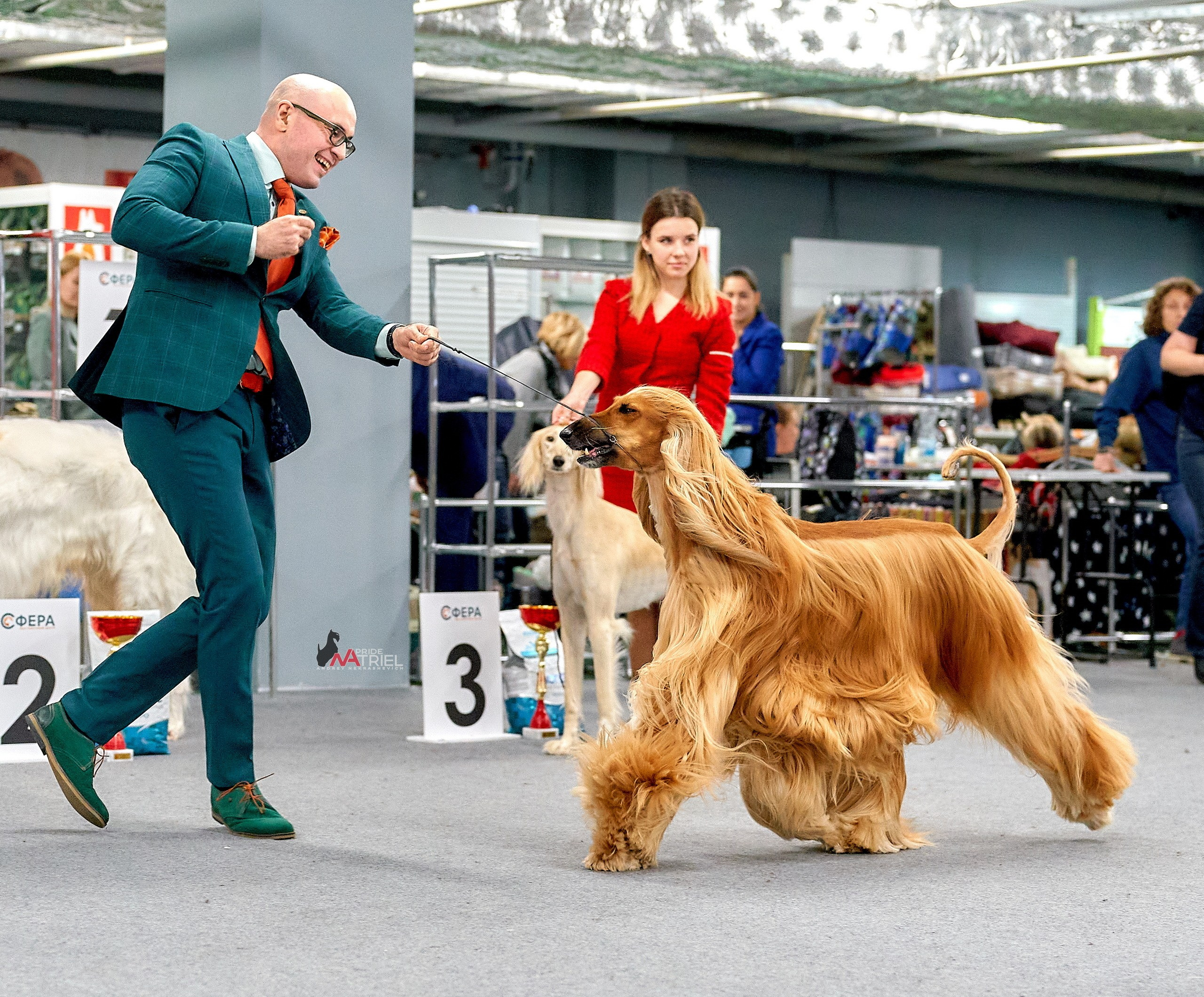 Работа в рингах — галерея NATRIEL