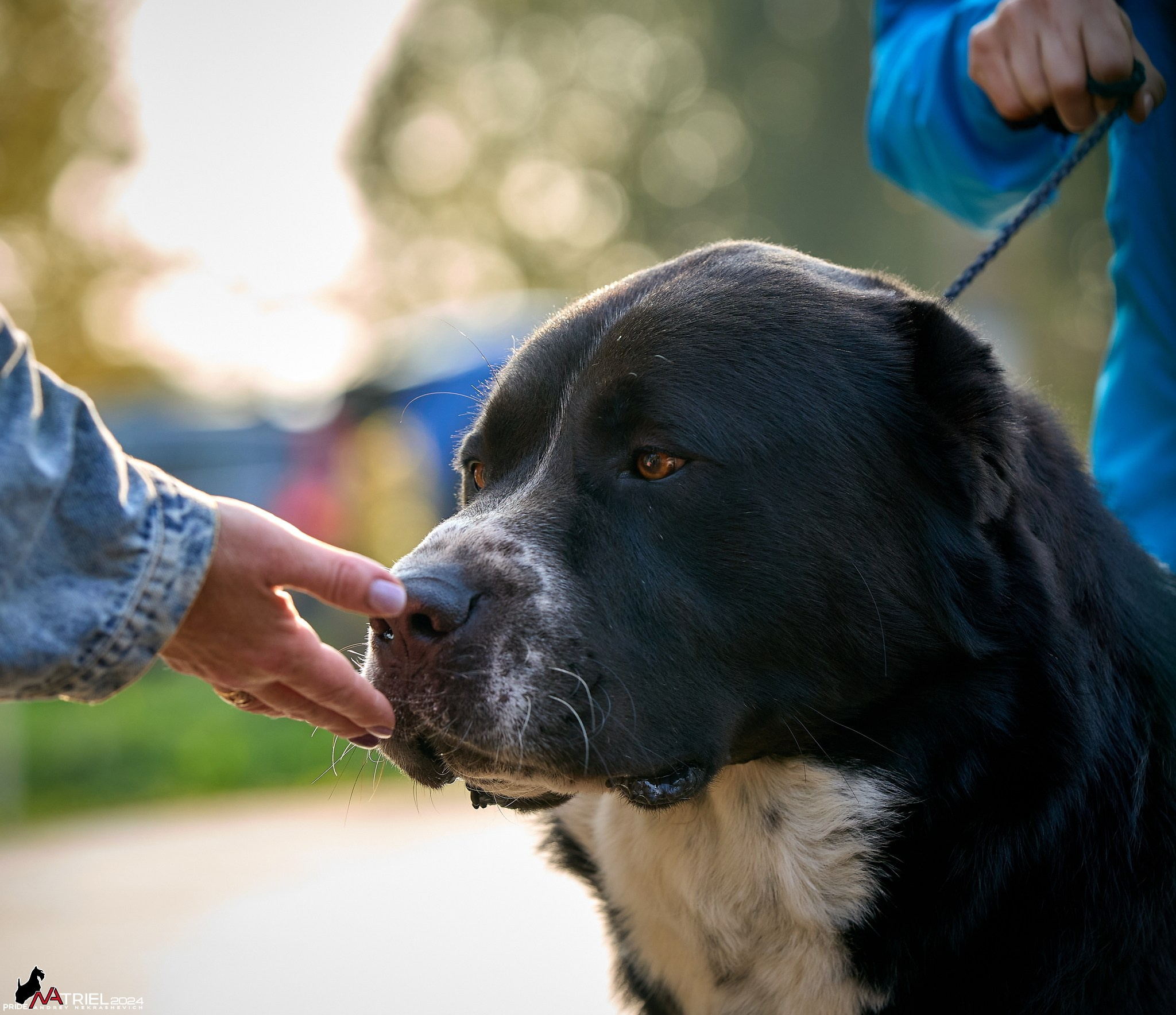 Съемка на выставке САО в Александров