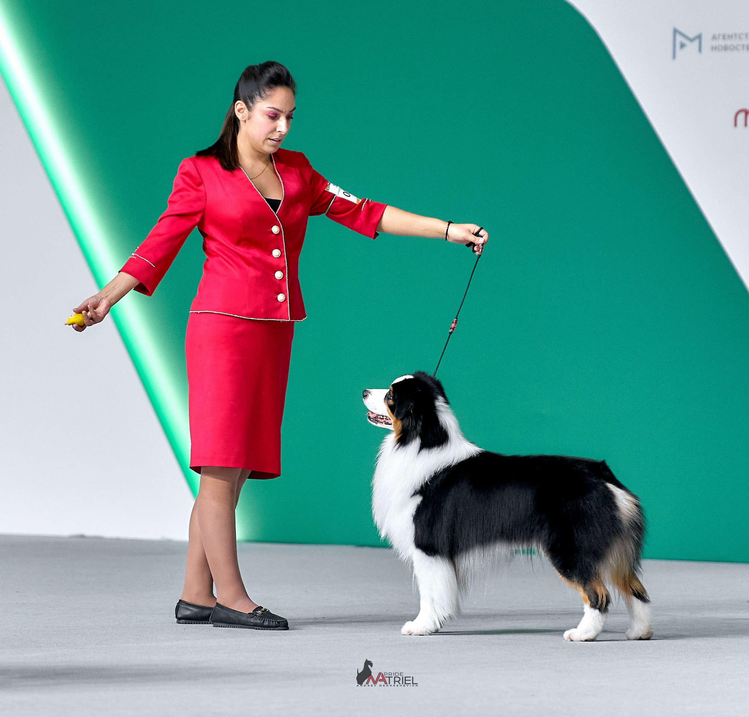 Работа в рингах — галерея NATRIEL