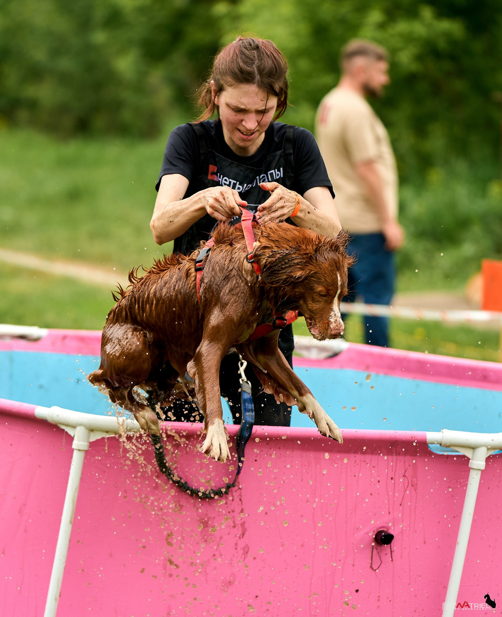 Russian Extreme Dog Trail — 2025