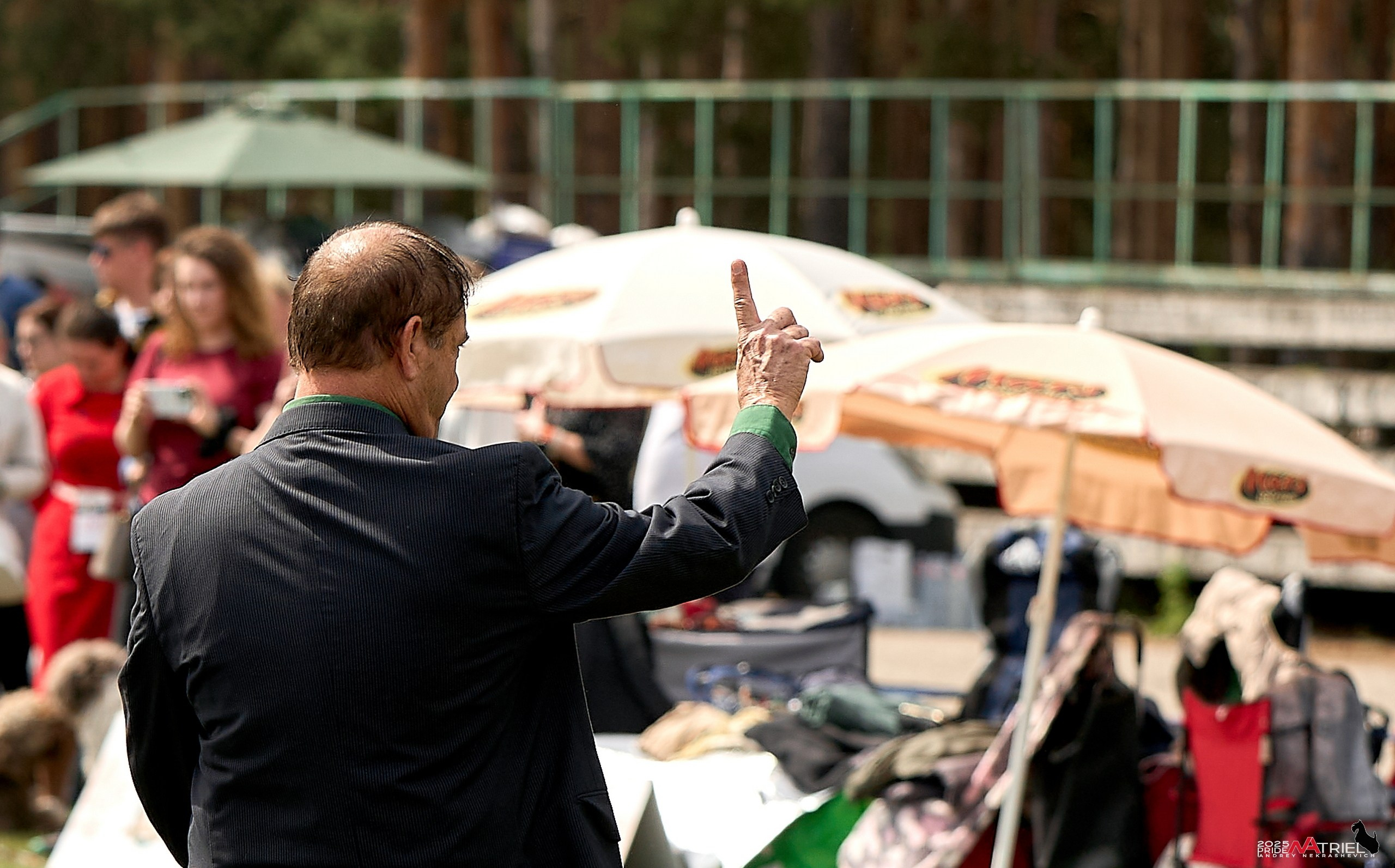 Выставка собак Суздаль-Владимир