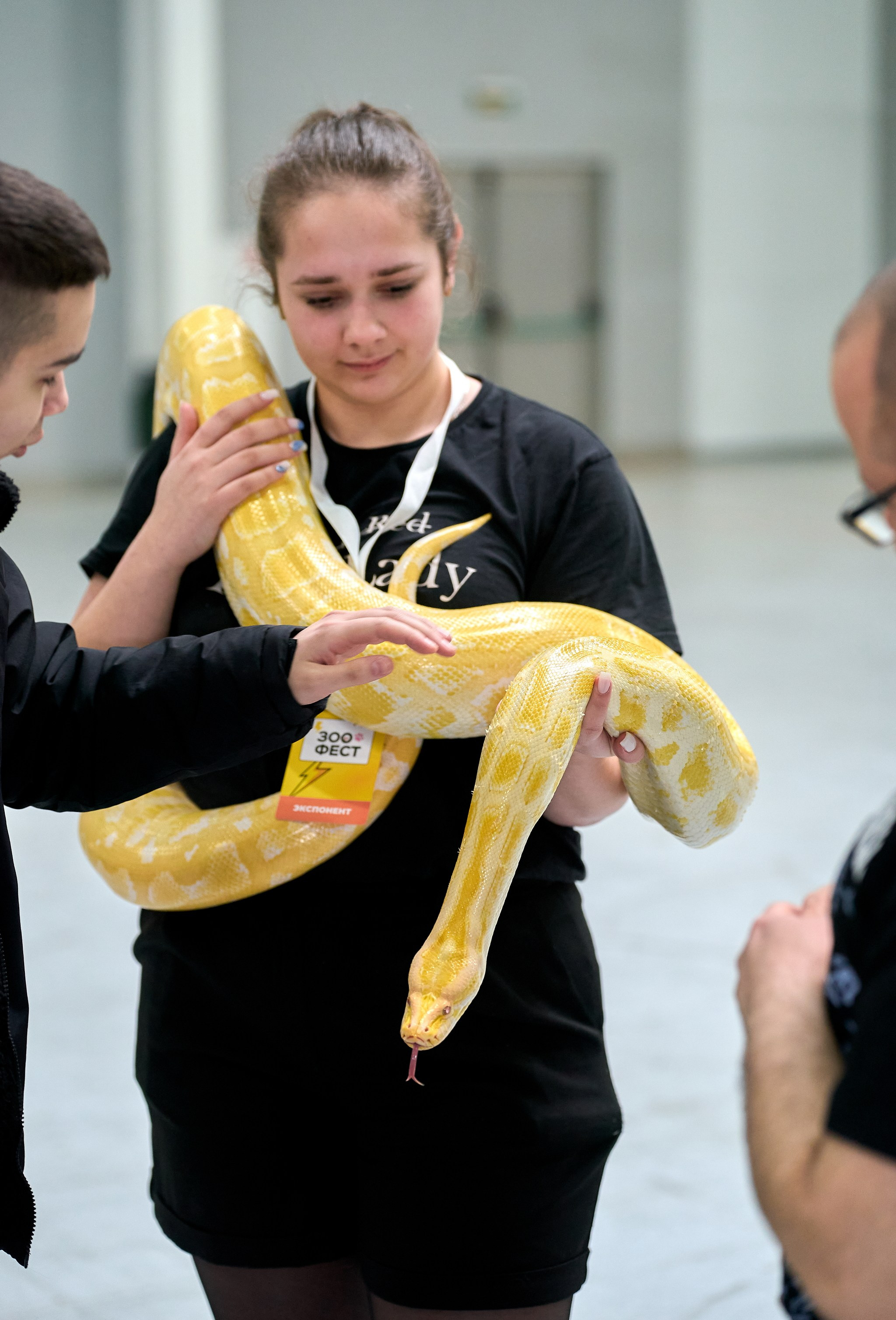 Выставки животных — галерея NATRIEL