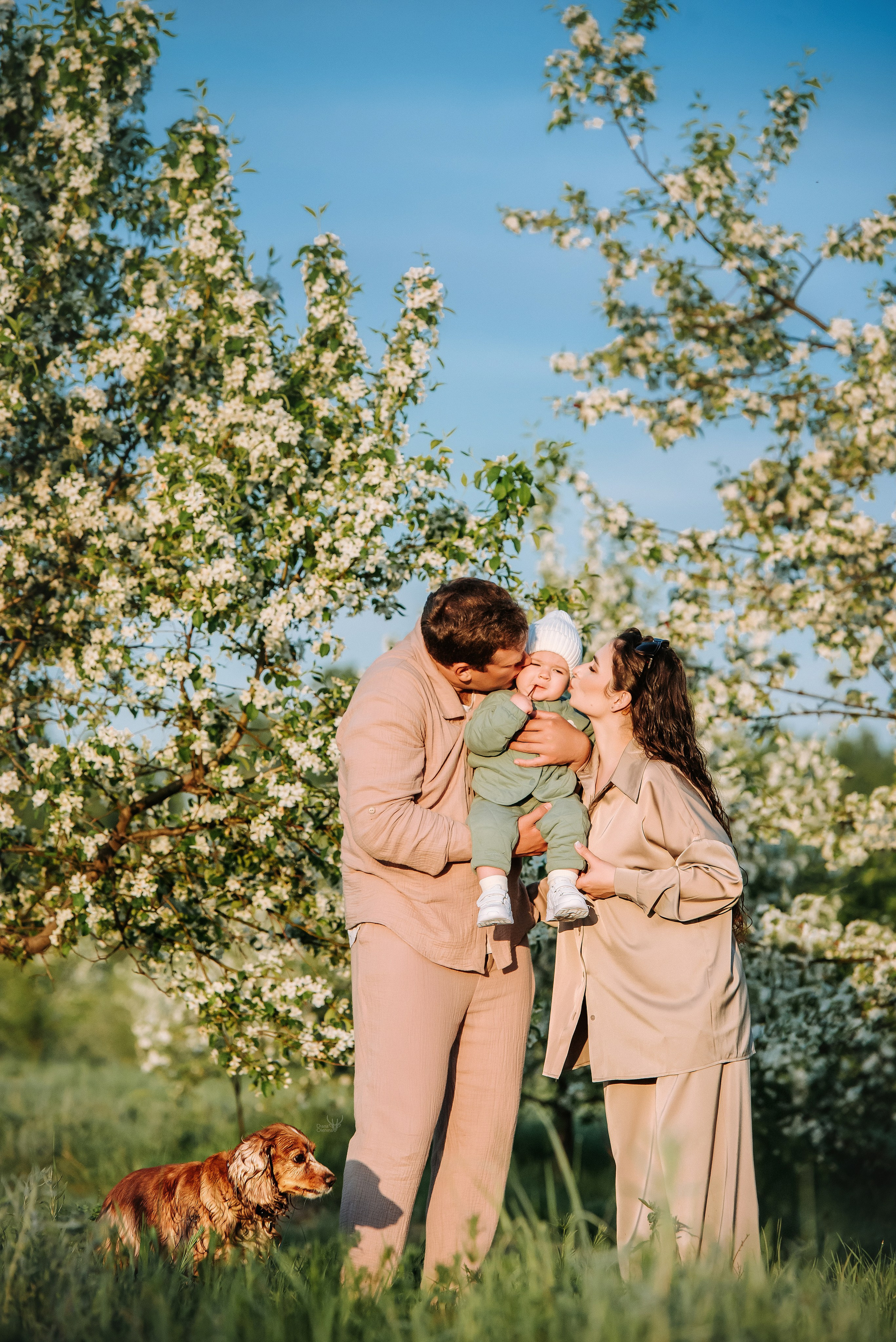 Фотопрогулка с питомцами. Фотограф Диана Оленина Красноярск / Братск