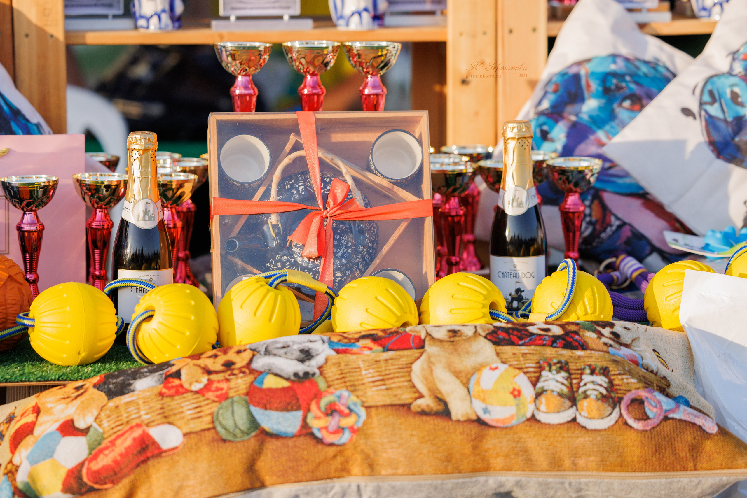 Анапа ротвейлеры 14-15.09.2024. Фотограф-анималист Юлия Германика