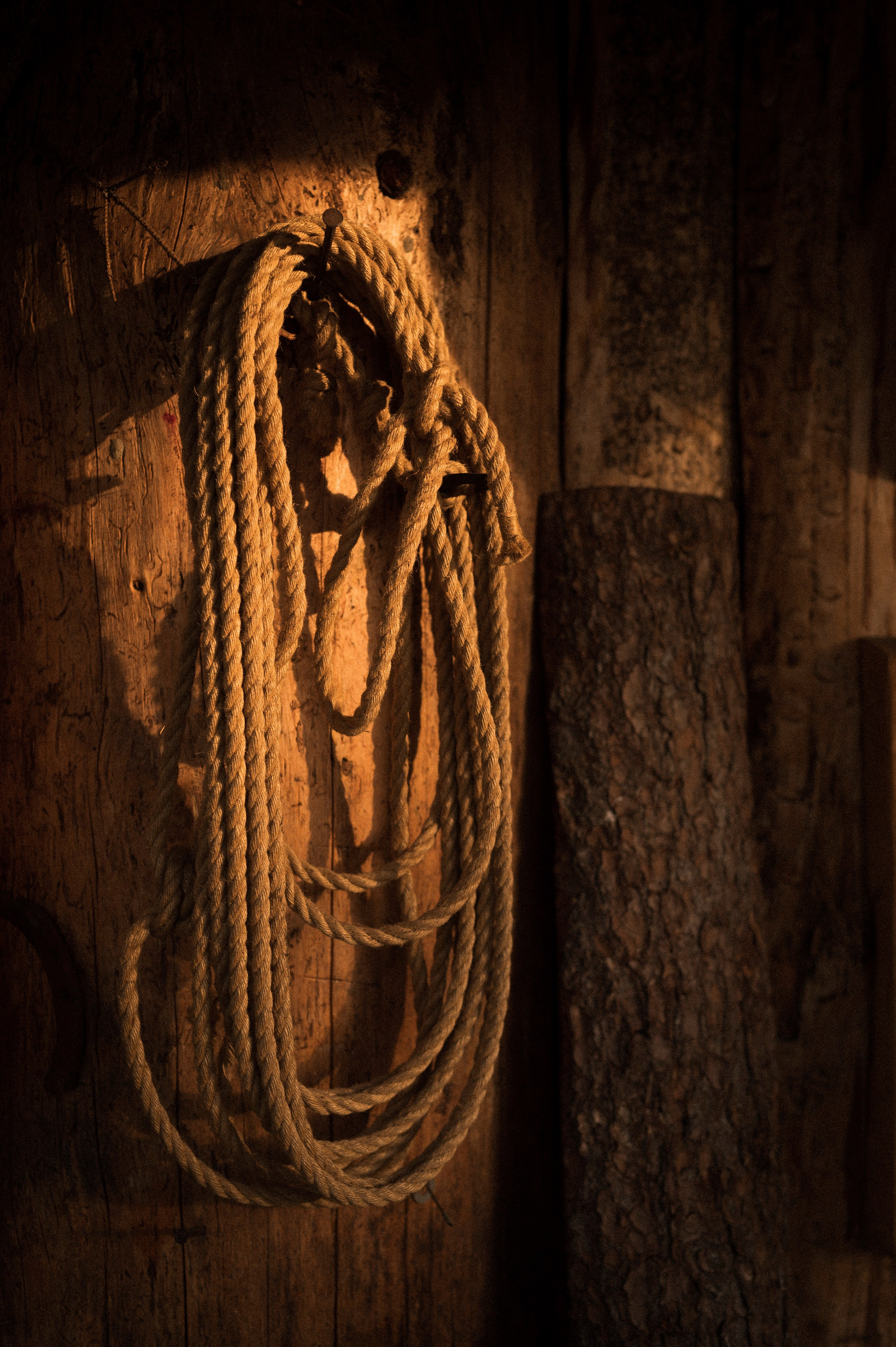 North 2024. Kartascheff