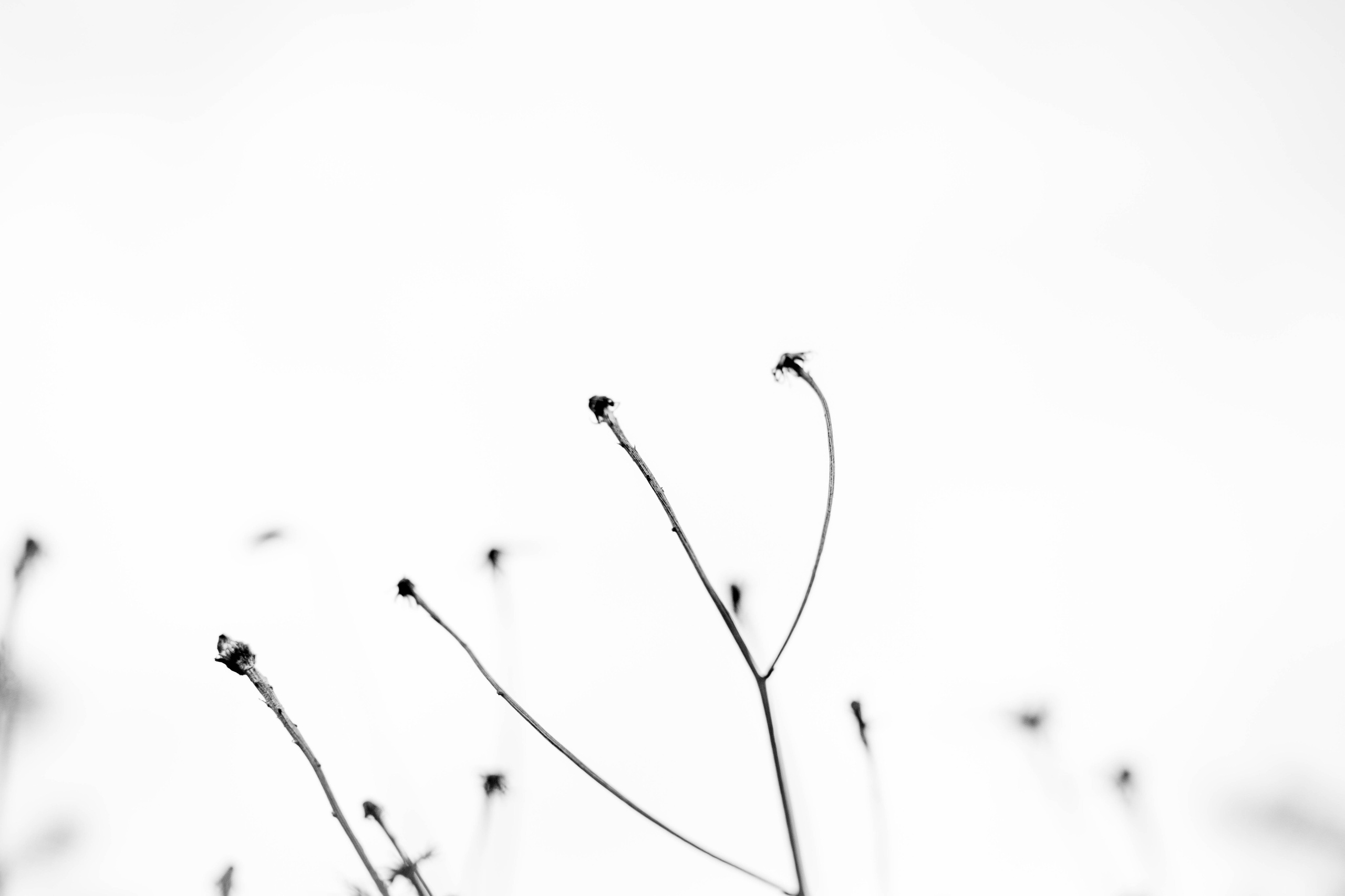 DEATHBED. Фотограф Вадим Бодылев