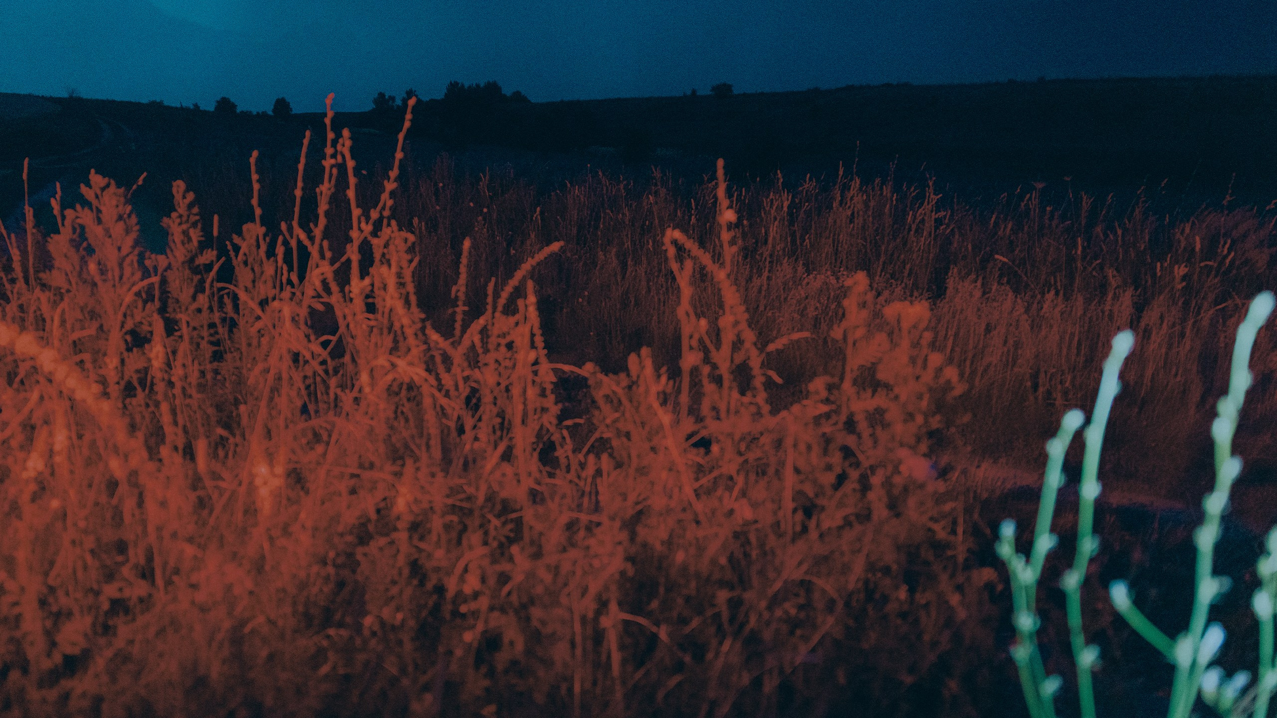 Саша Ковальчук — Репортажный Фотограф