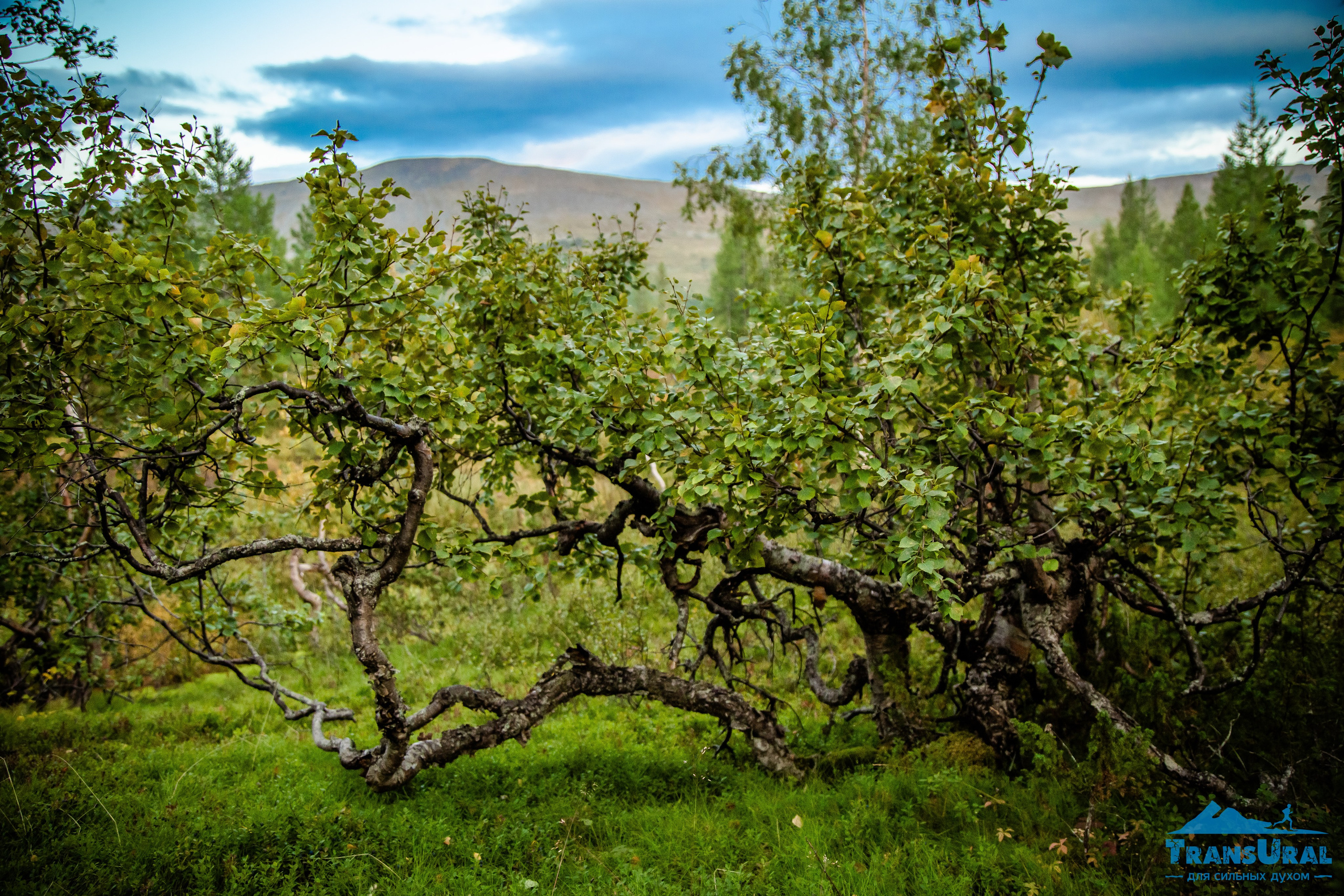Полярный Урал. Авторские туры с профессиональным фотографом