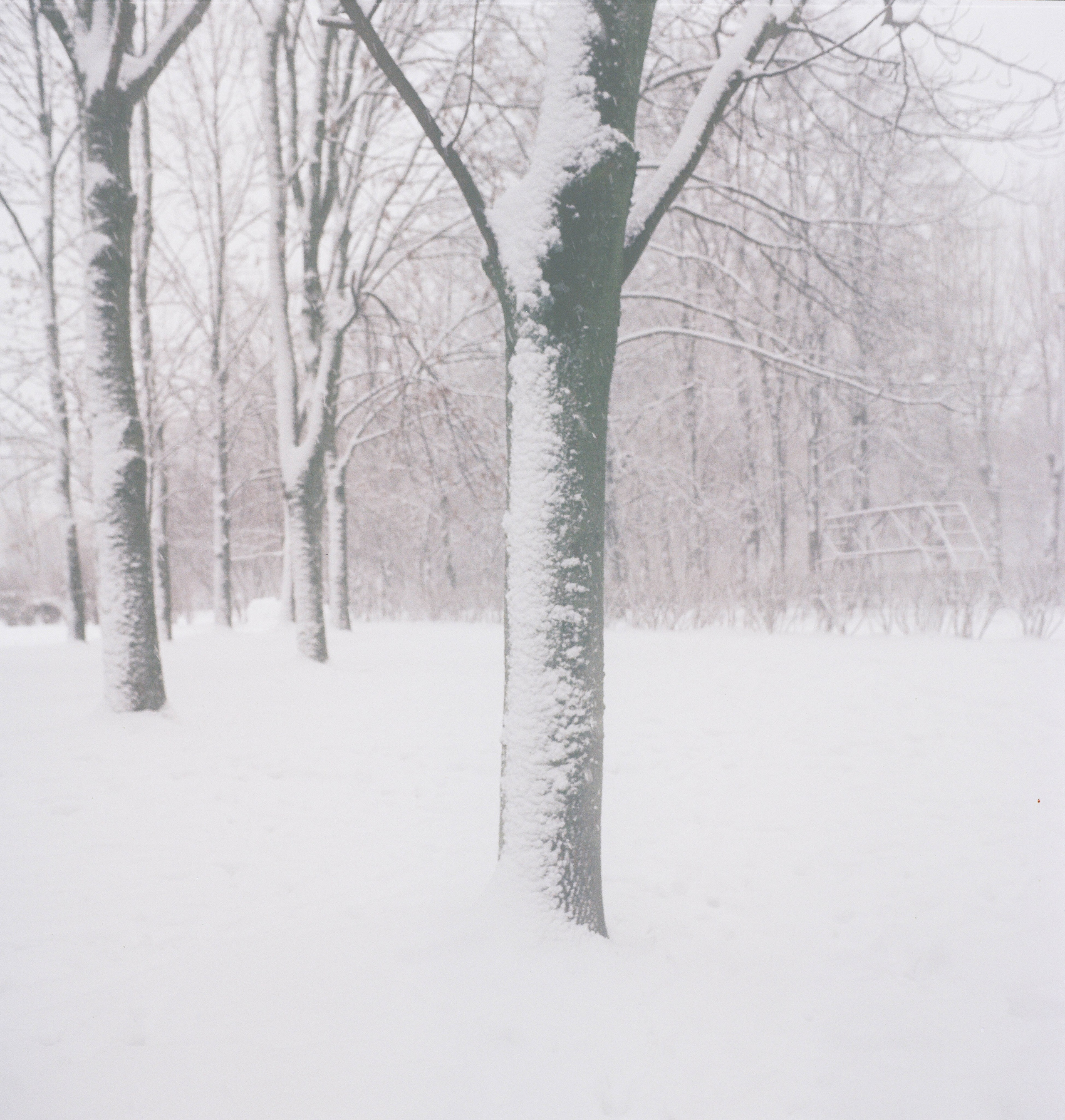 Плёнка 35/120мм. Katya Medvedeva