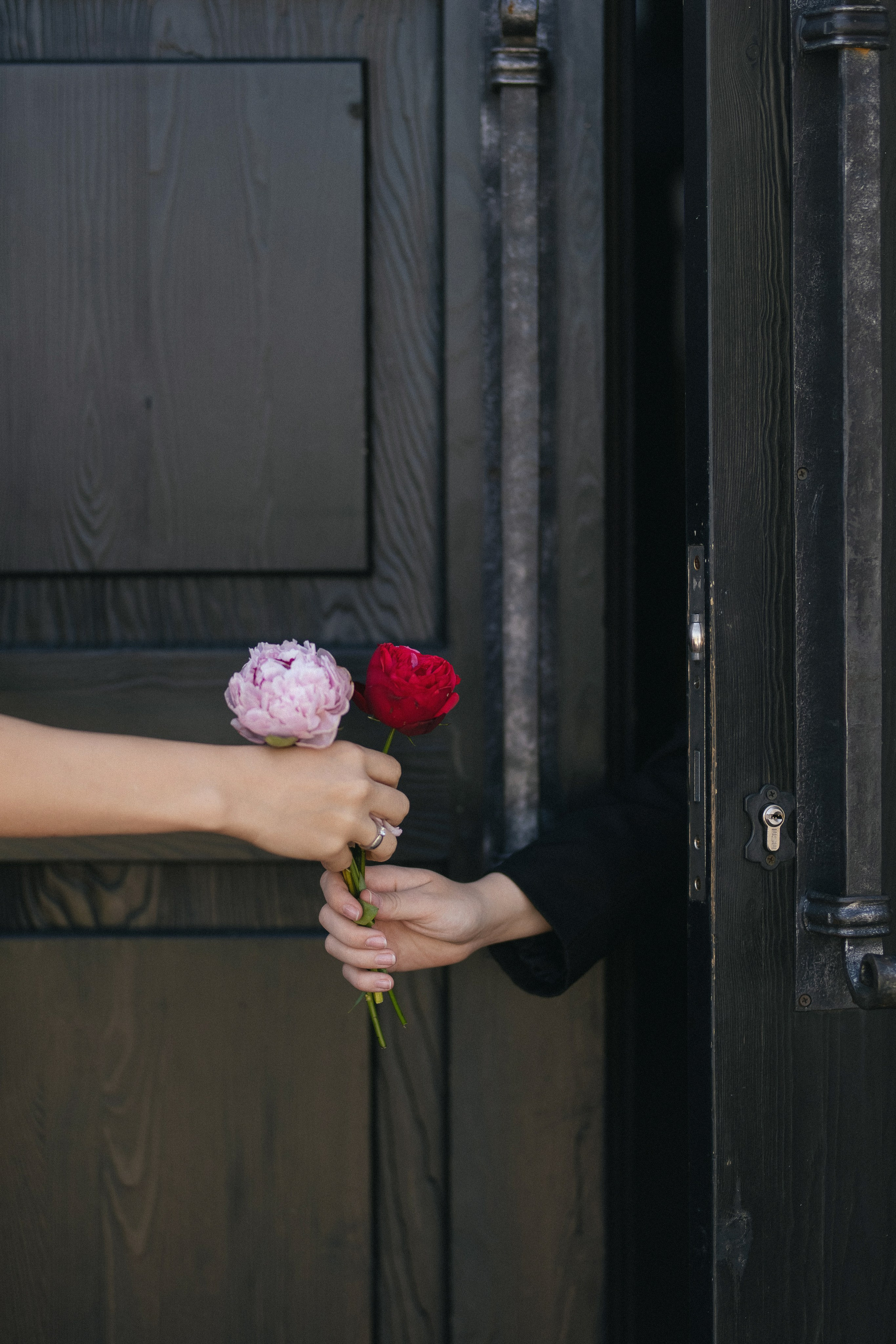 «СИЛА ПРИТЯЖЕНИЯ». Maria Startseva Photo