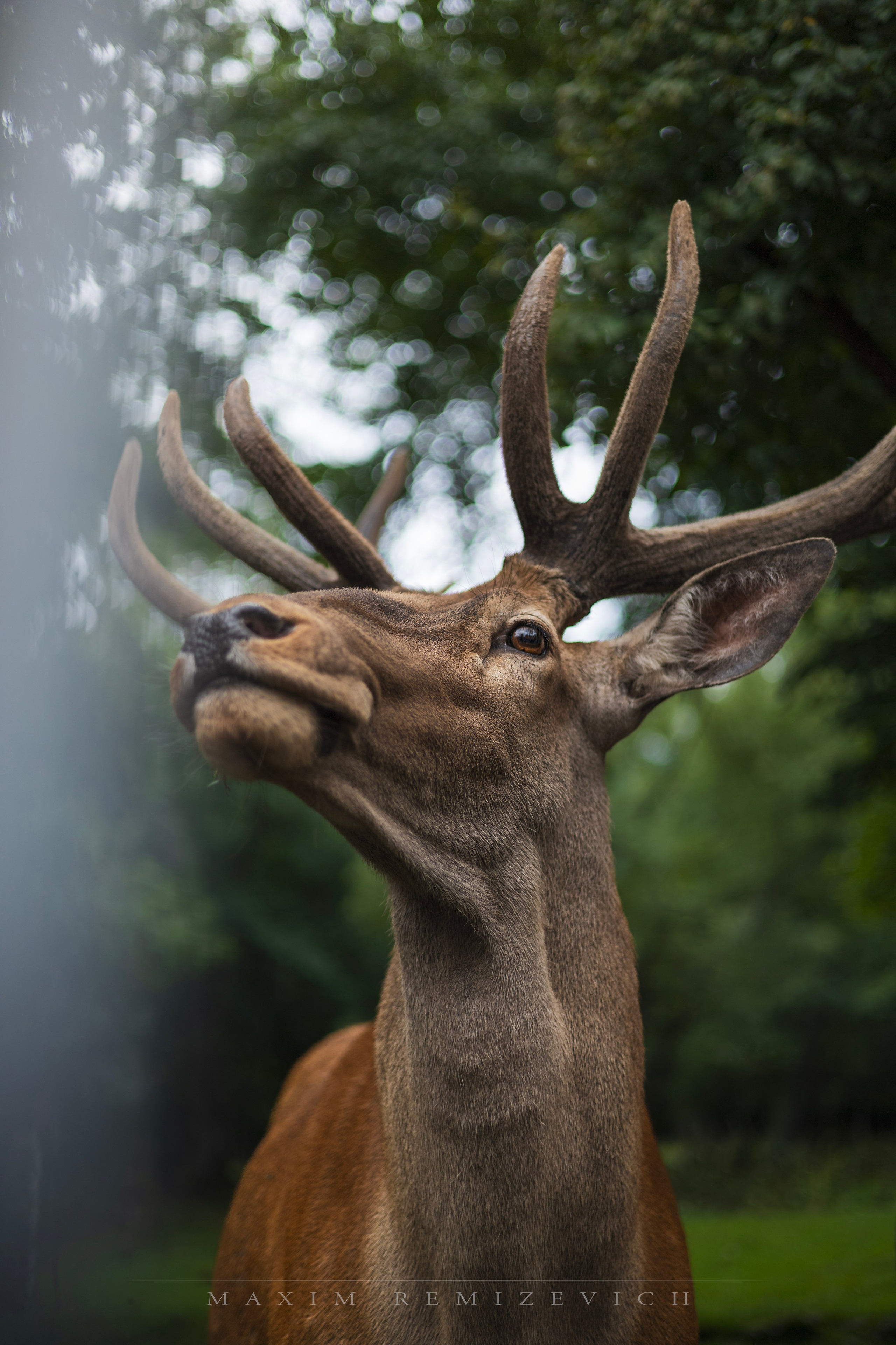 Пейзажная фотография — Вдохновение дикой природой | Максим Ремизевич. Maxim Remizevich | Photographer