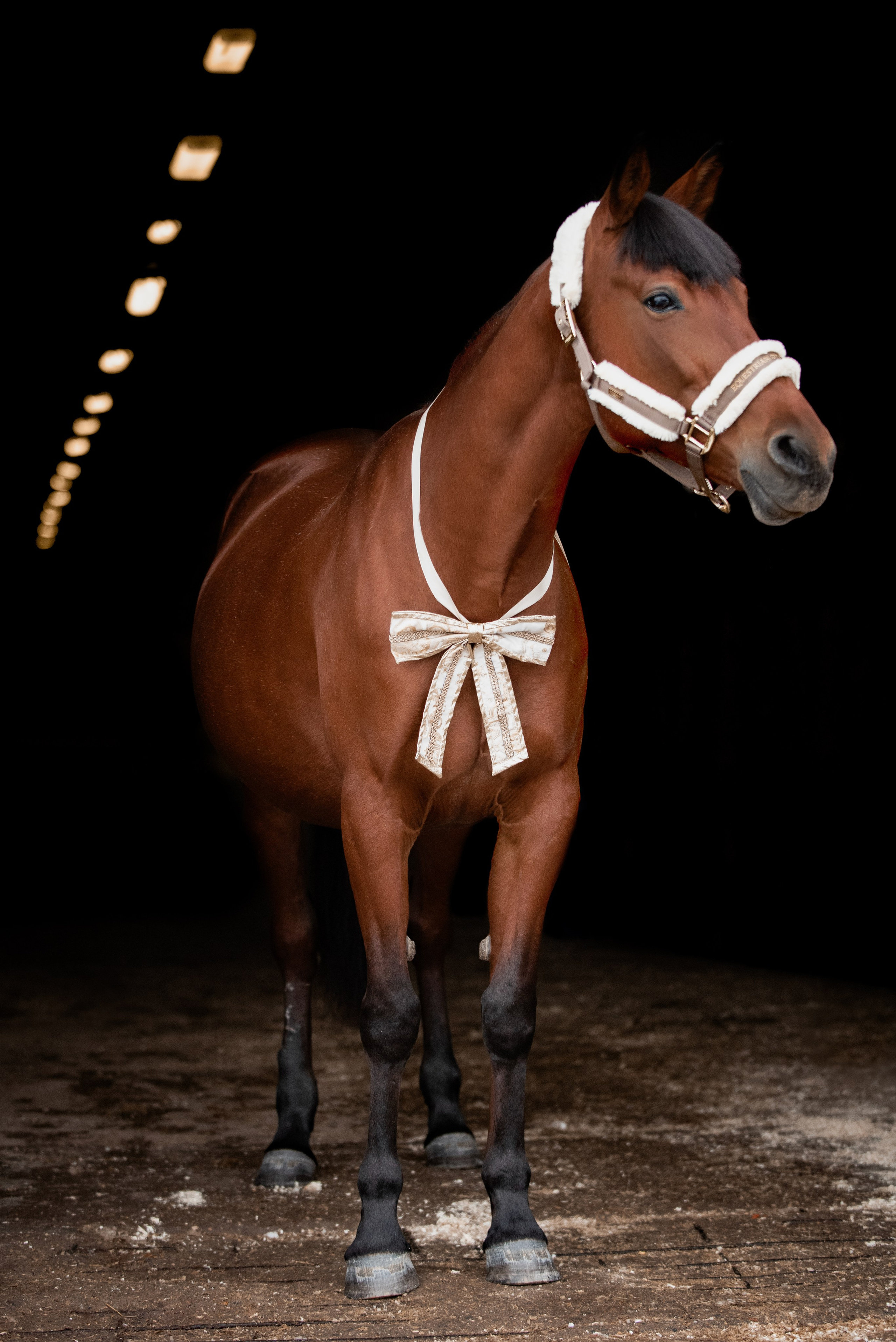 Зимний Настасьин табун. Куракина Дарья • Конный фотограф