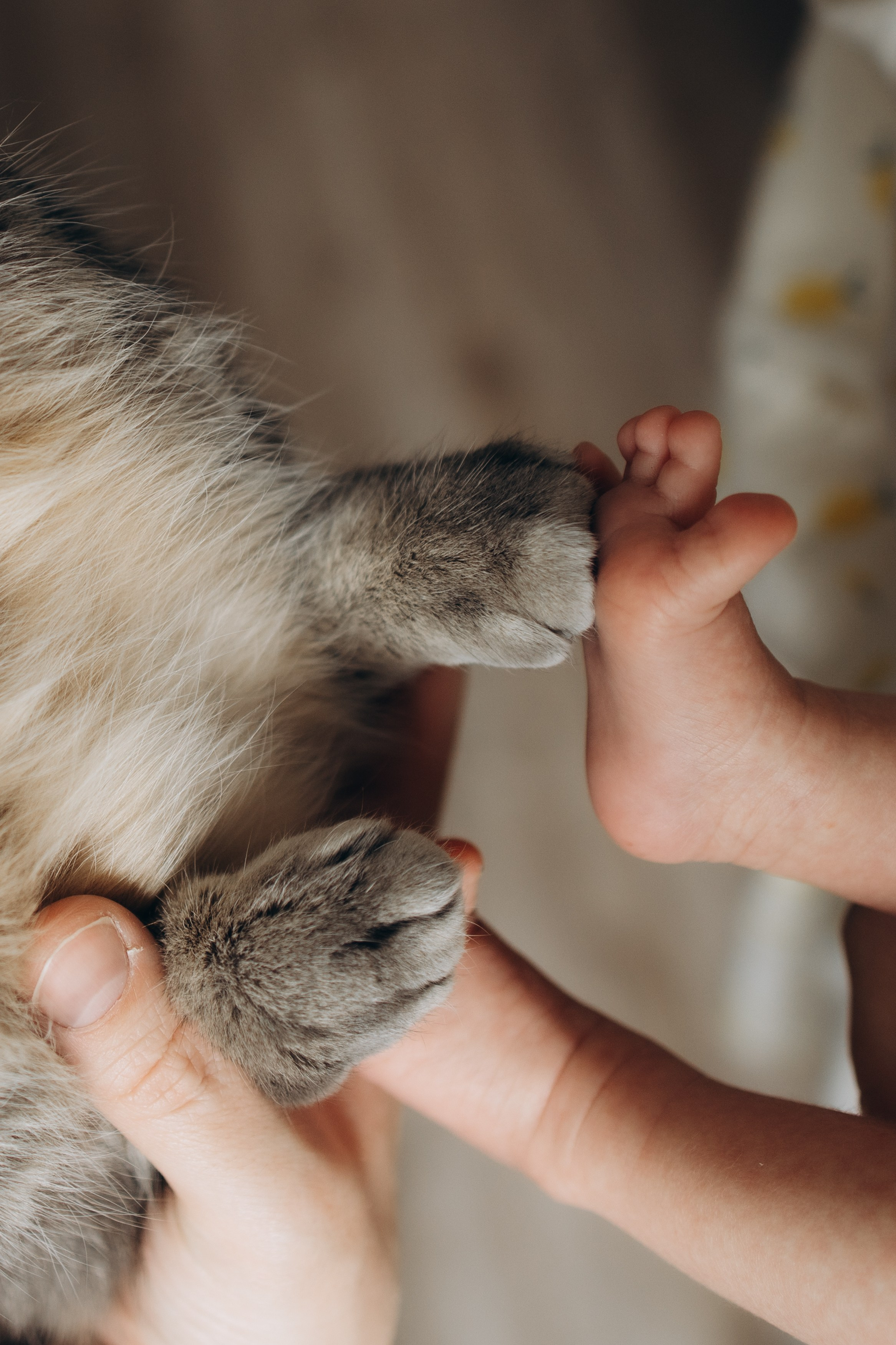 Варвара. Свадебный и семейный ньюборн newborn фотограф, фотограф новорождённых в Санкт-Петербурге, Пушкине, Павловске. Павлова Анастасия