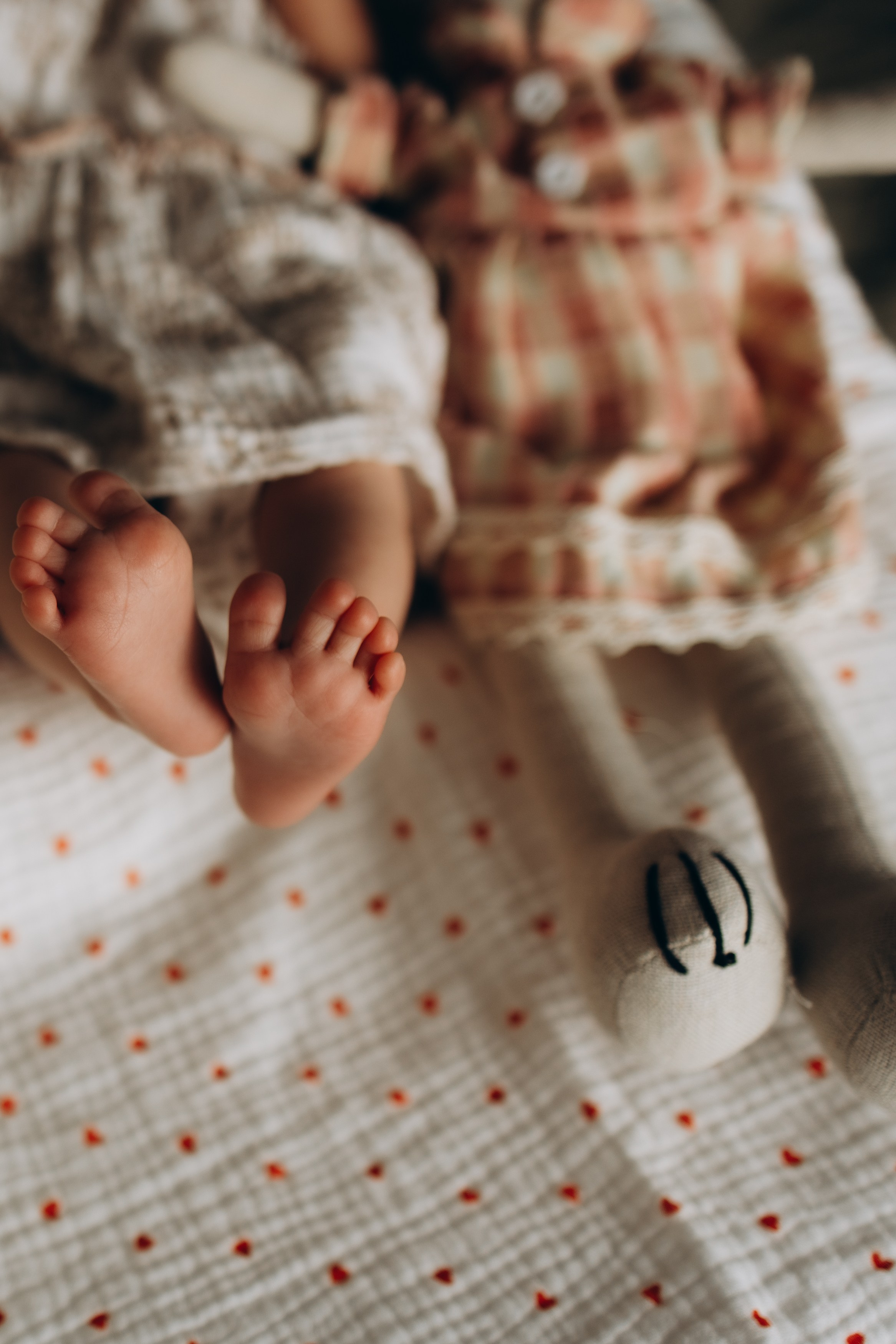 Варвара. Свадебный и семейный ньюборн newborn фотограф, фотограф новорождённых в Санкт-Петербурге, Пушкине, Павловске. Павлова Анастасия