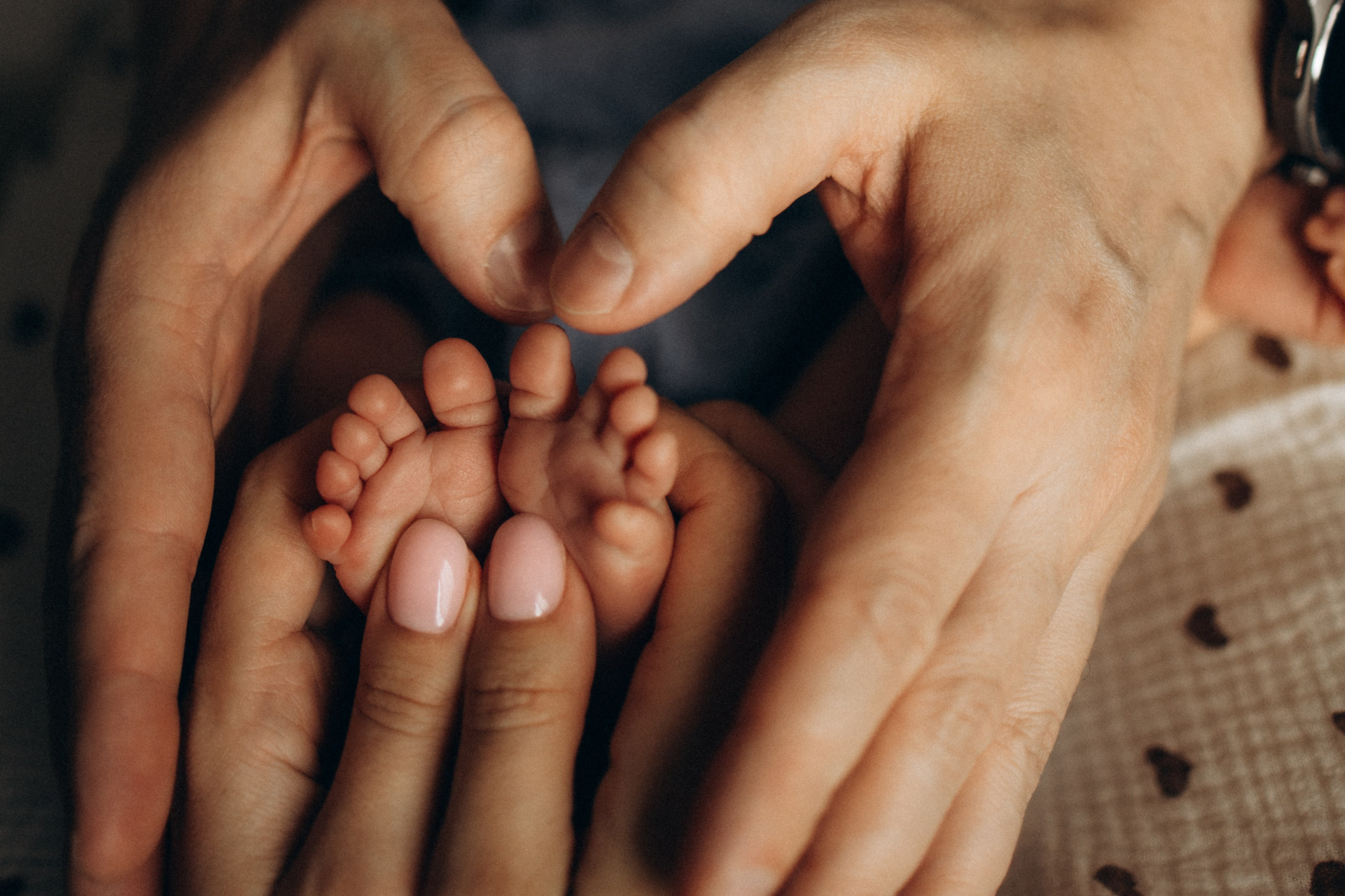 Варвара. Свадебный и семейный ньюборн newborn фотограф, фотограф новорождённых в Санкт-Петербурге, Пушкине, Павловске. Павлова Анастасия