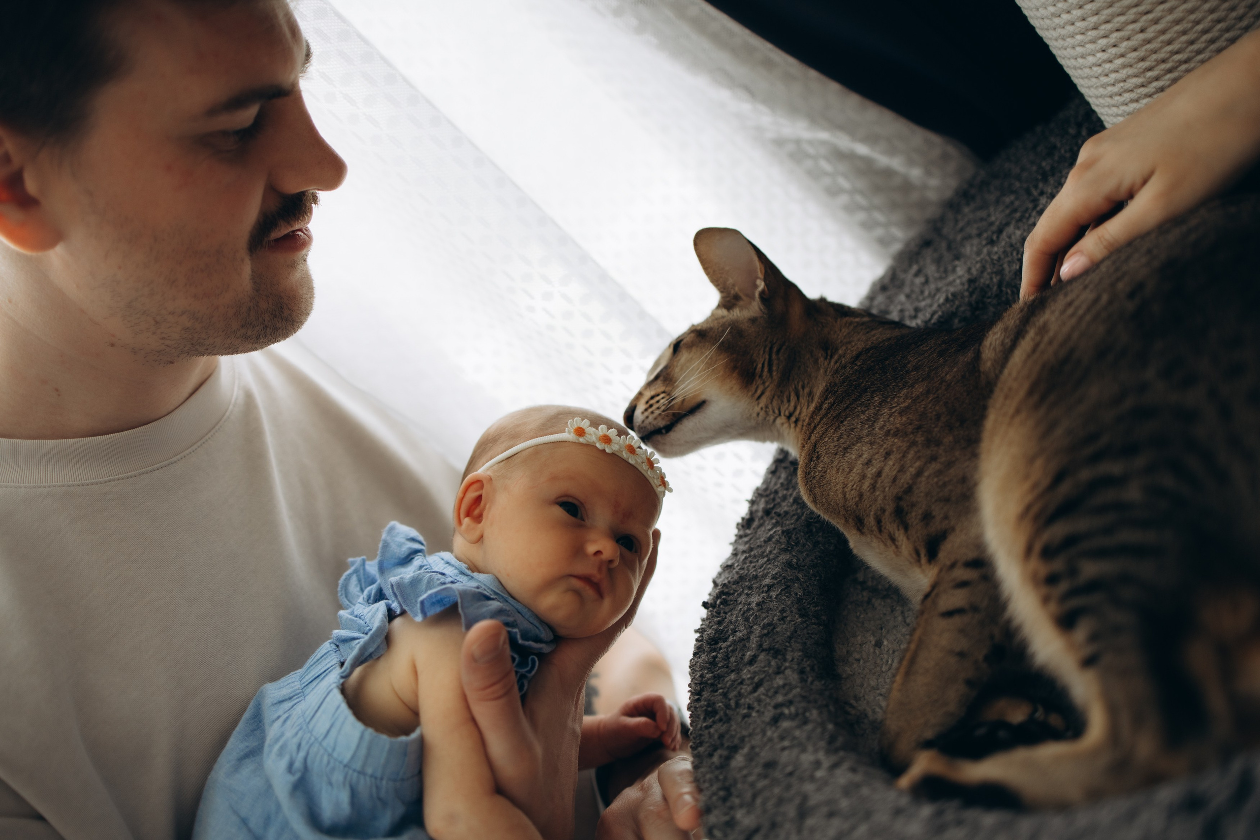 Варвара. Свадебный и семейный ньюборн newborn фотограф, фотограф новорождённых в Санкт-Петербурге, Пушкине, Павловске. Павлова Анастасия