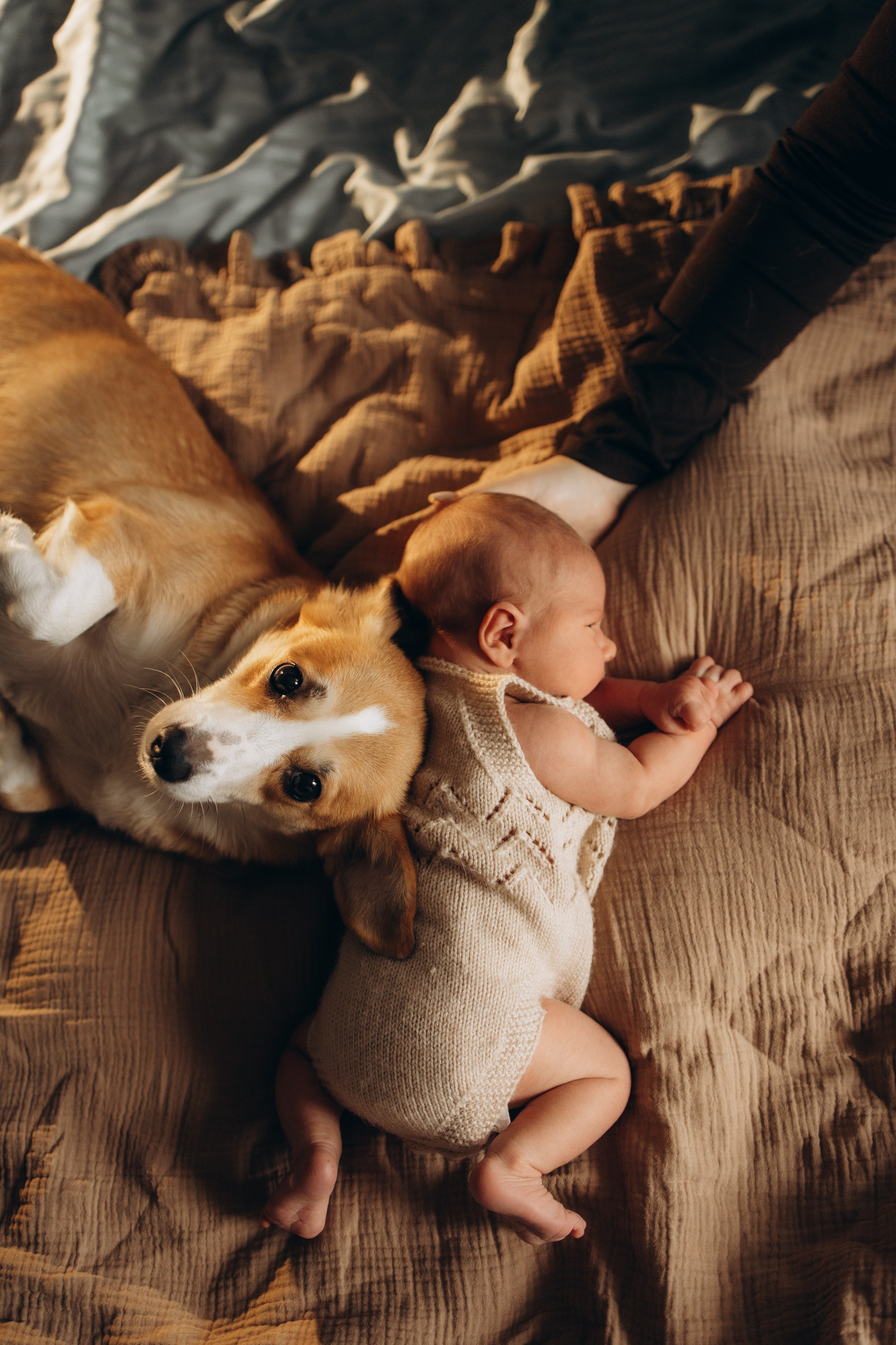 Александр 10 дней. Свадебный и семейный ньюборн newborn фотограф, фотограф новорождённых в Санкт-Петербурге, Пушкине, Павловске. Павлова Анастасия