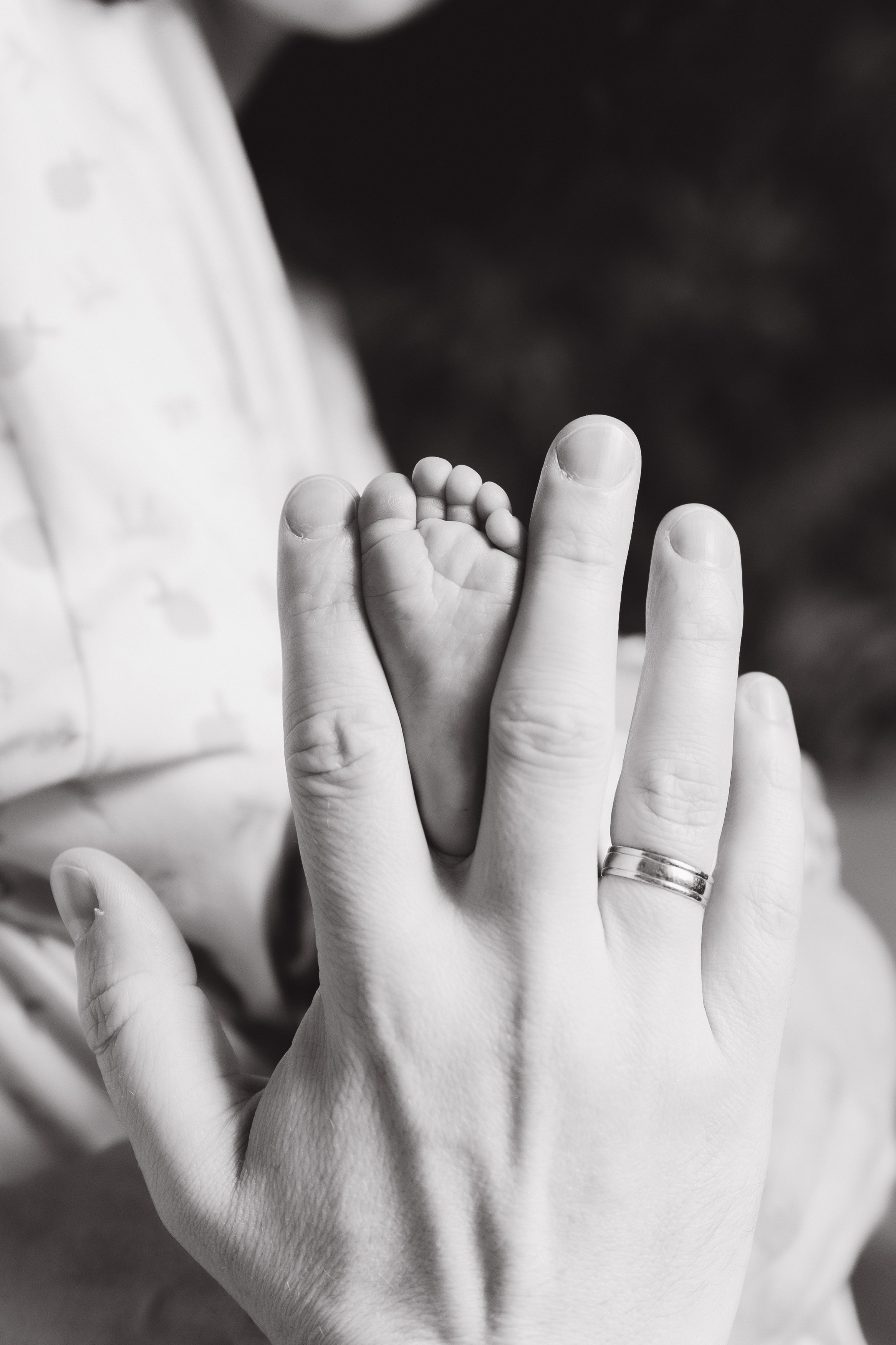 Варвара. Свадебный и семейный ньюборн newborn фотограф, фотограф новорождённых в Санкт-Петербурге, Пушкине, Павловске. Павлова Анастасия
