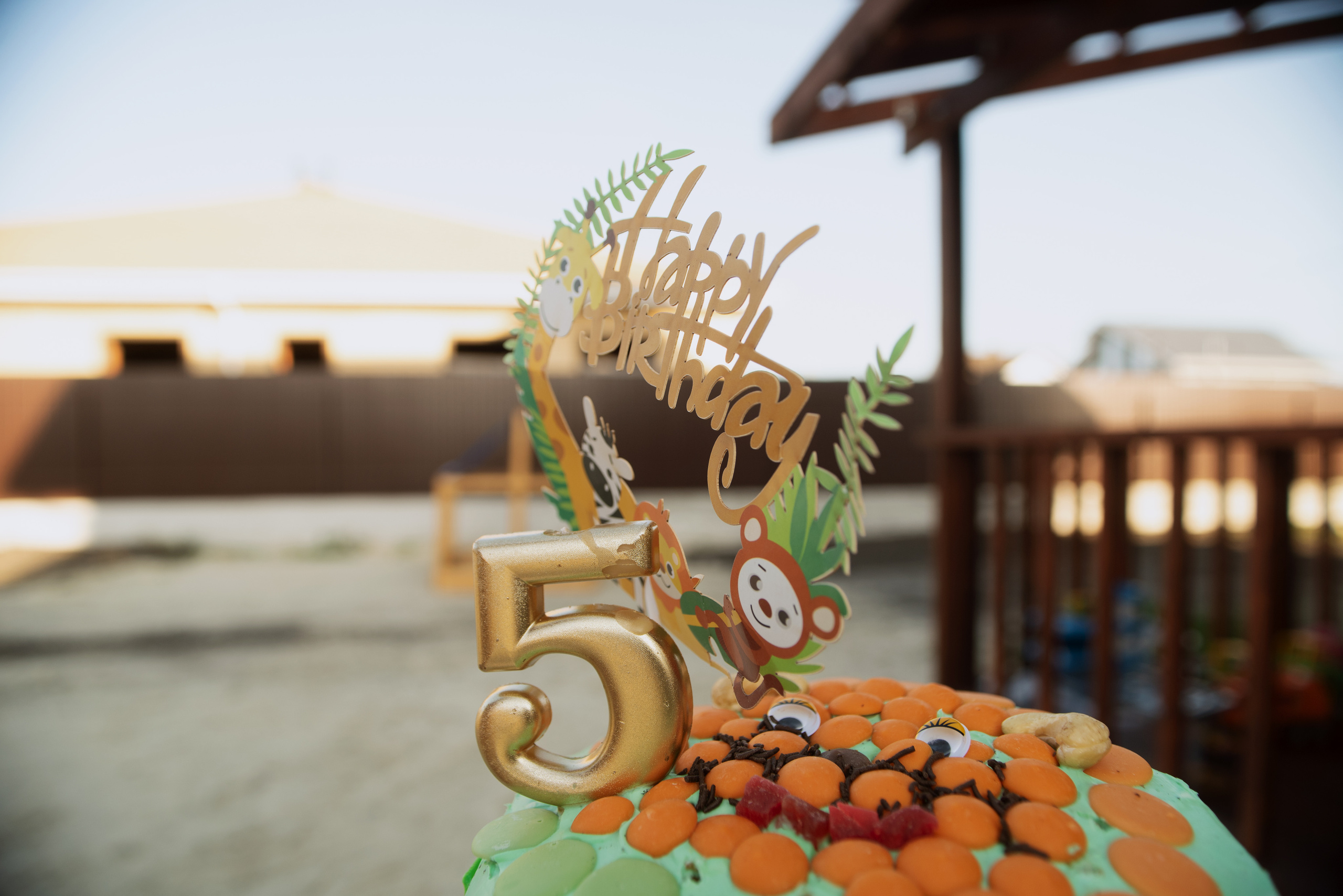 #Сафари. Фотограф Ульяновск Ксения Холматова