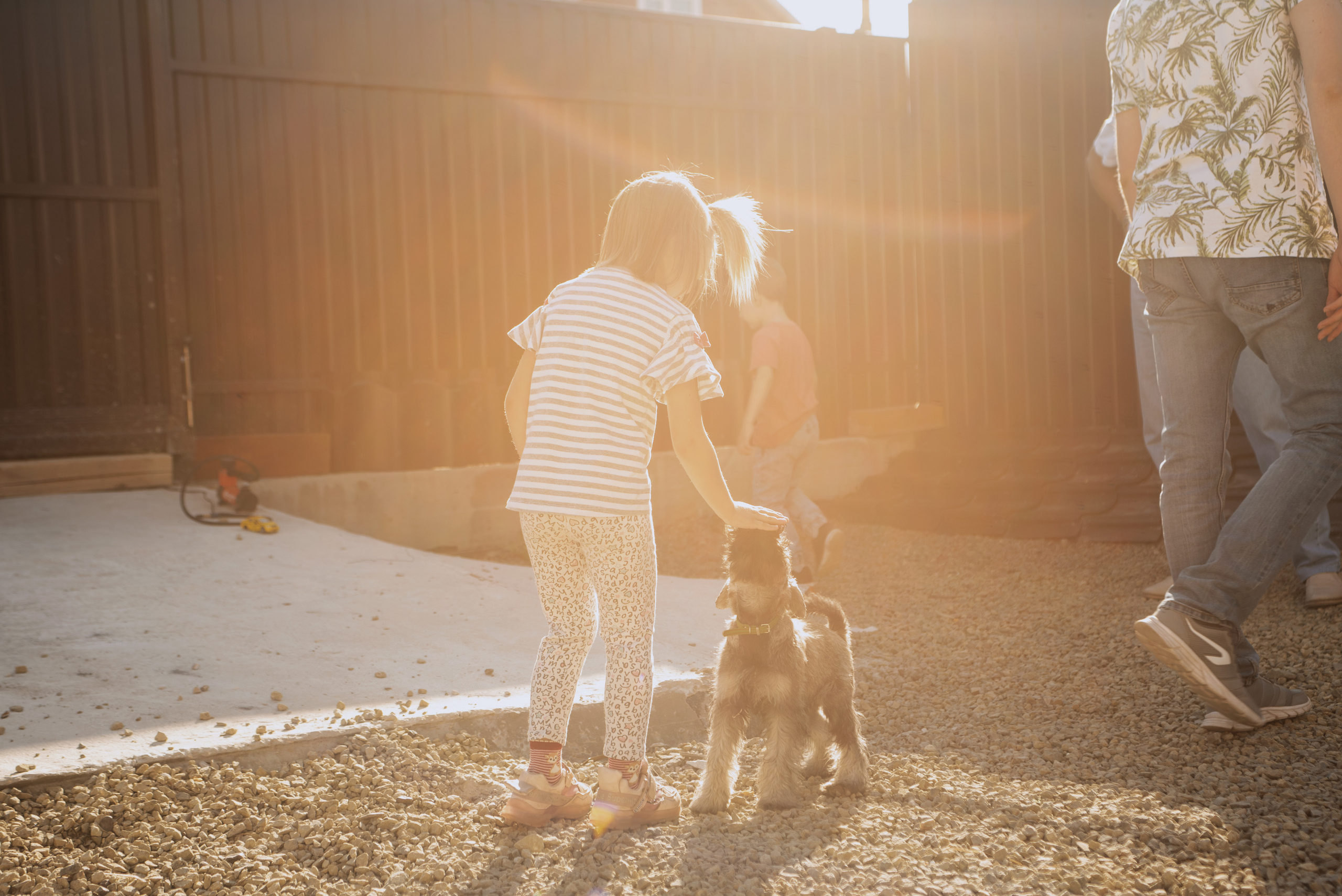 #Сафари. Фотограф Ульяновск Ксения Холматова