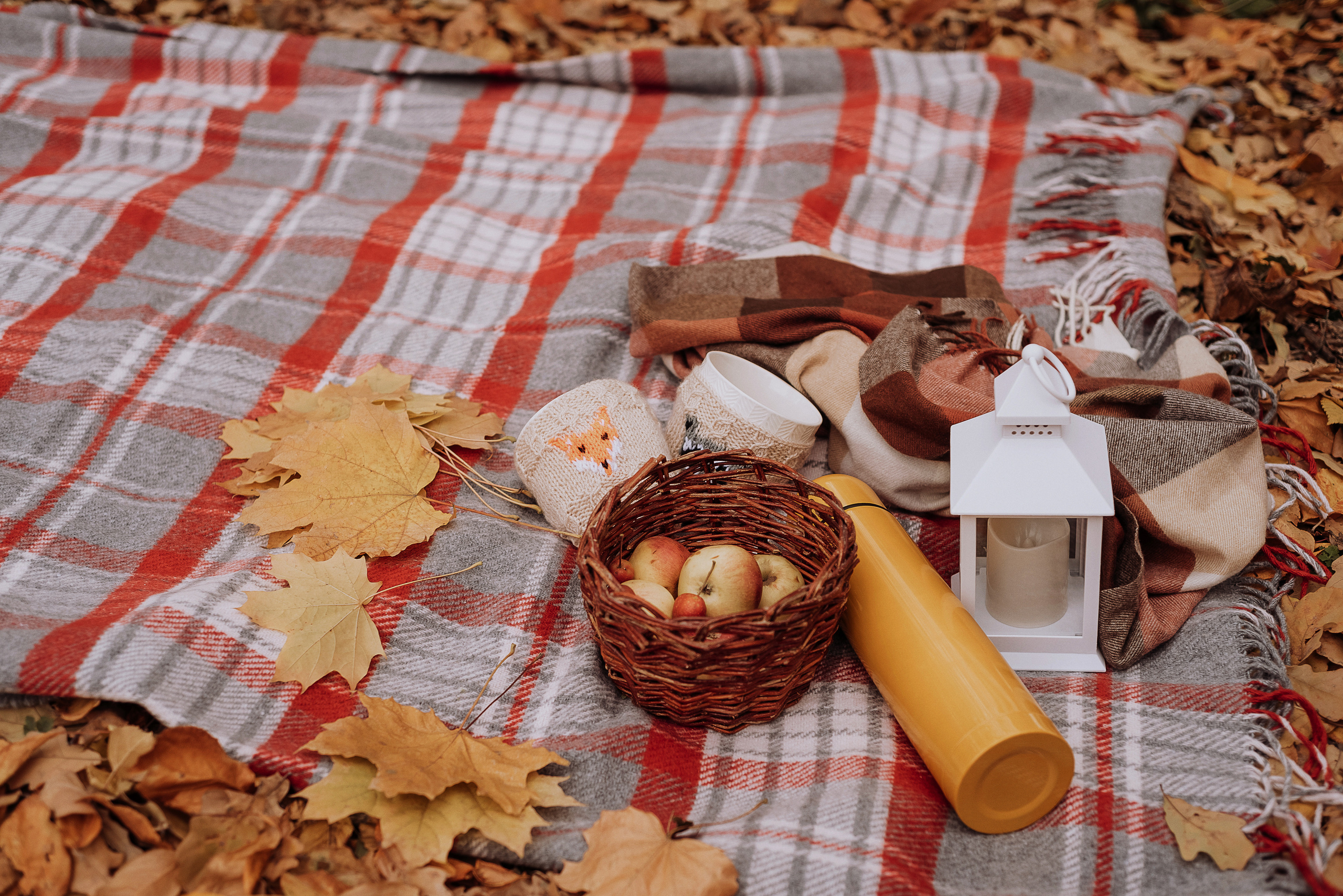 🤎. Фотограф Ульяновск Ксения Холматова