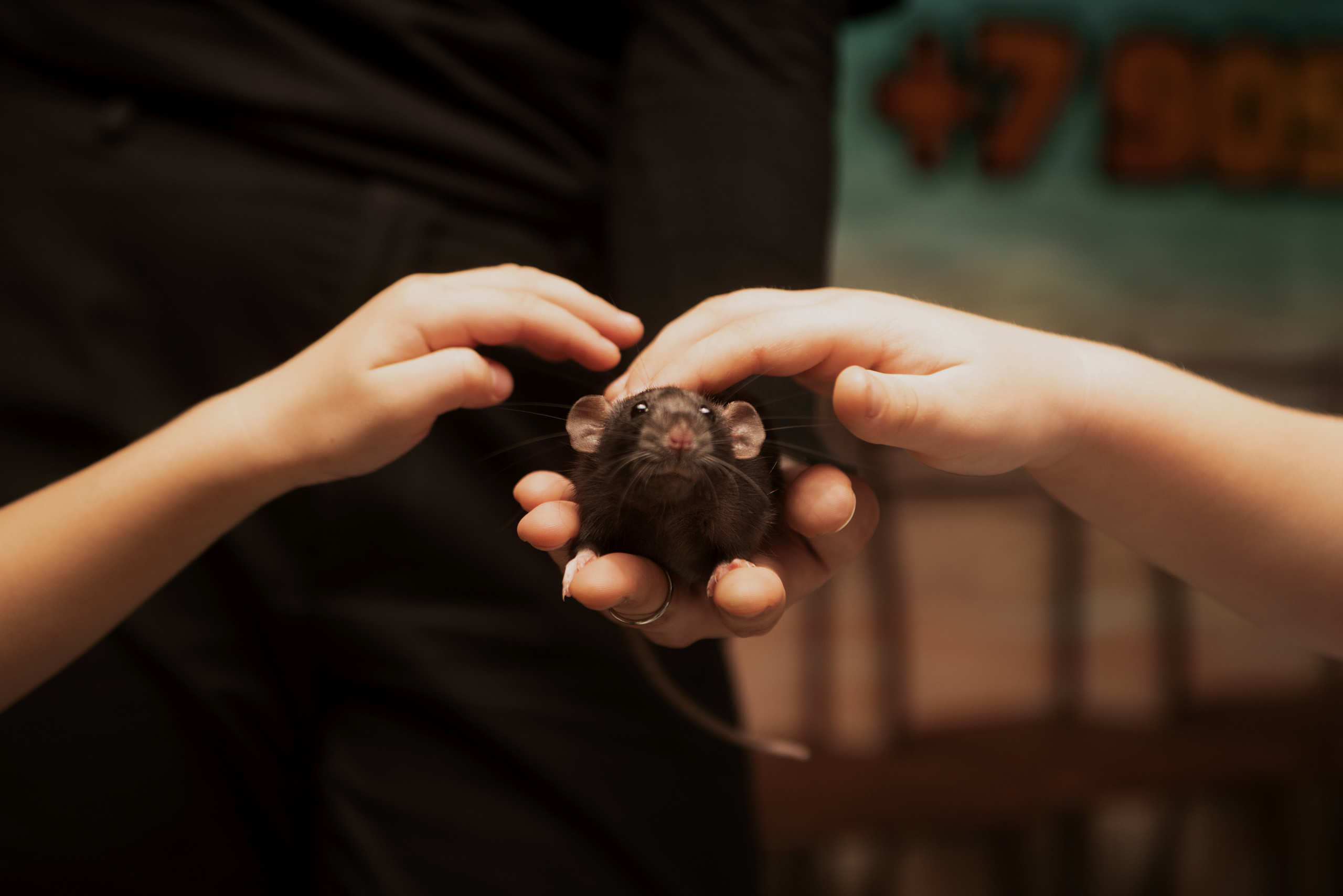 ФордБоярд. Фотограф Ульяновск Ксения Холматова