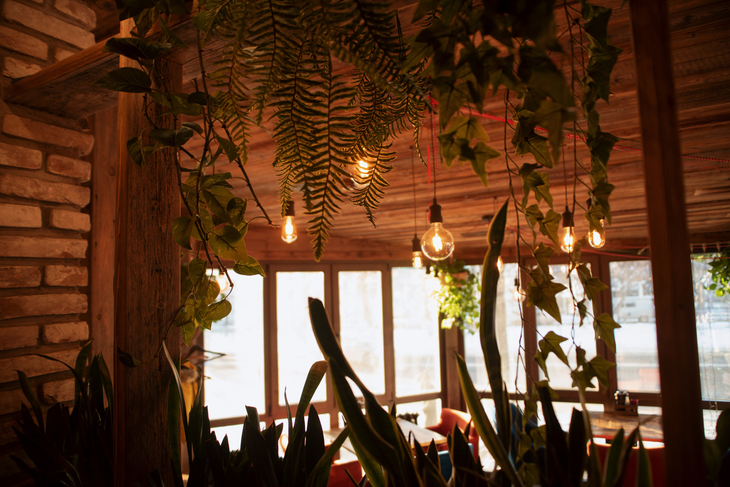 МК. Фотограф Ульяновск Ксения Холматова