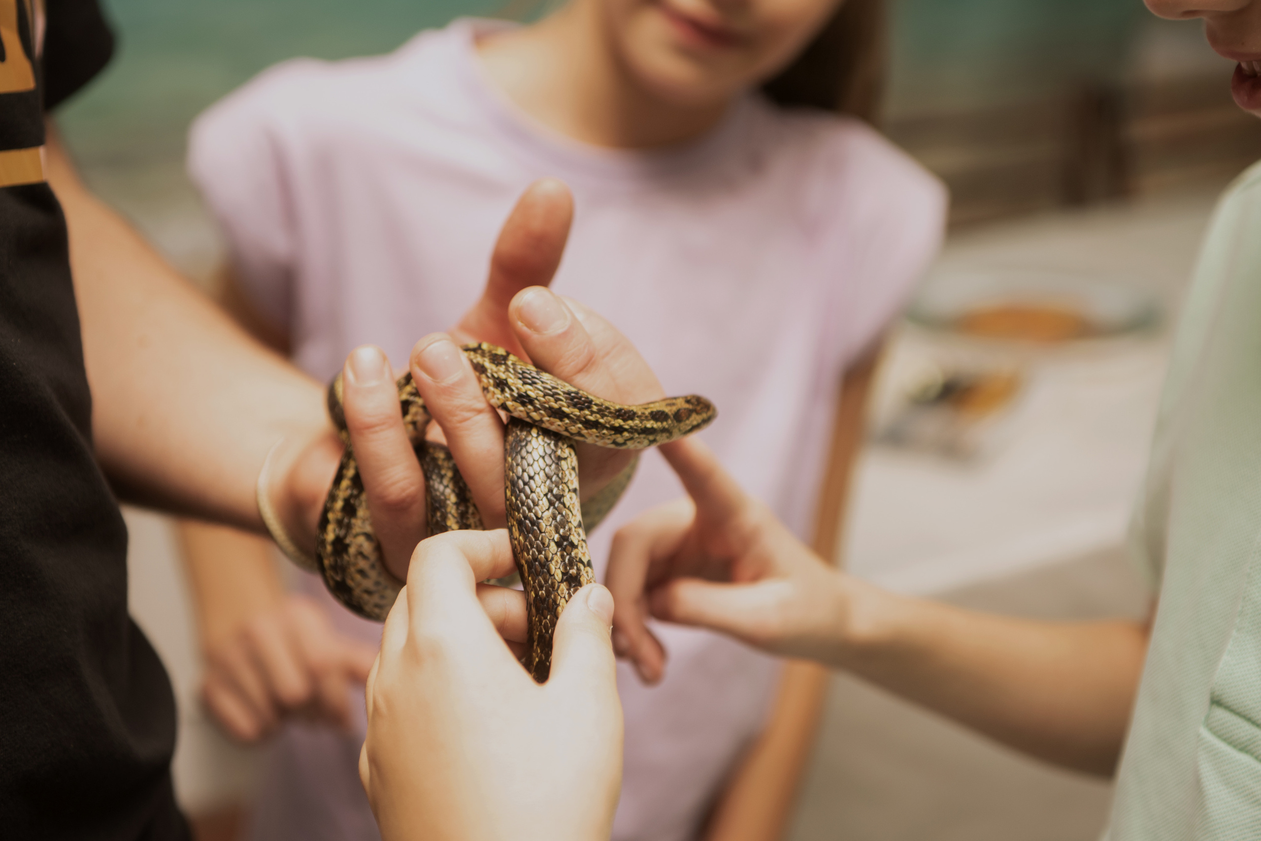 ФордБоярд. Фотограф Ульяновск Ксения Холматова